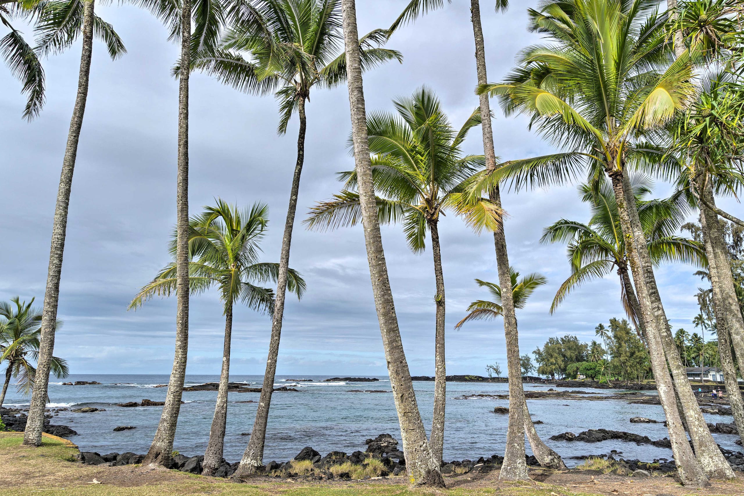 Home in Hilo · ★4.67 · 2 bedrooms · 2 beds · 1 shared bath - Image 2
