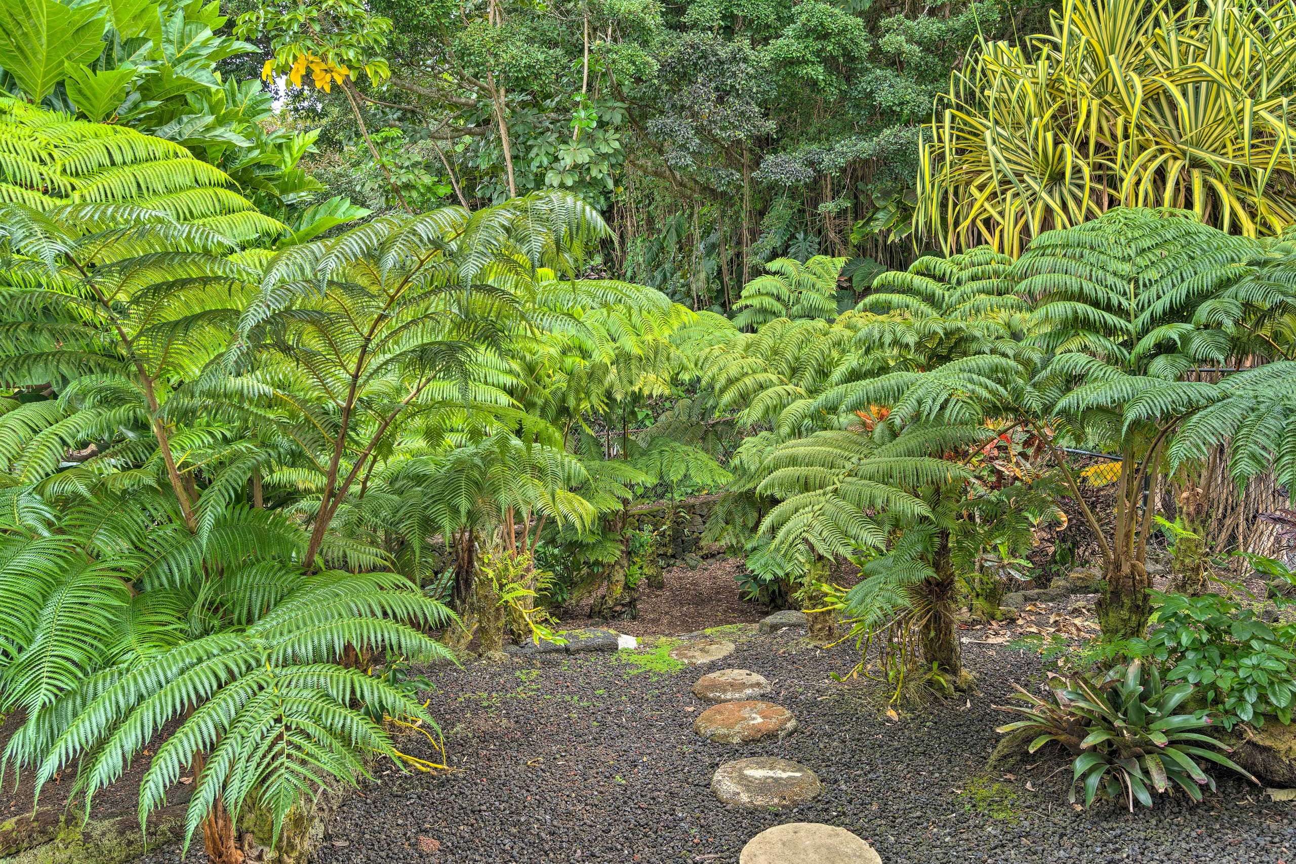 Home in Hilo · ★4.67 · 2 bedrooms · 2 beds · 1 shared bath - Image 24