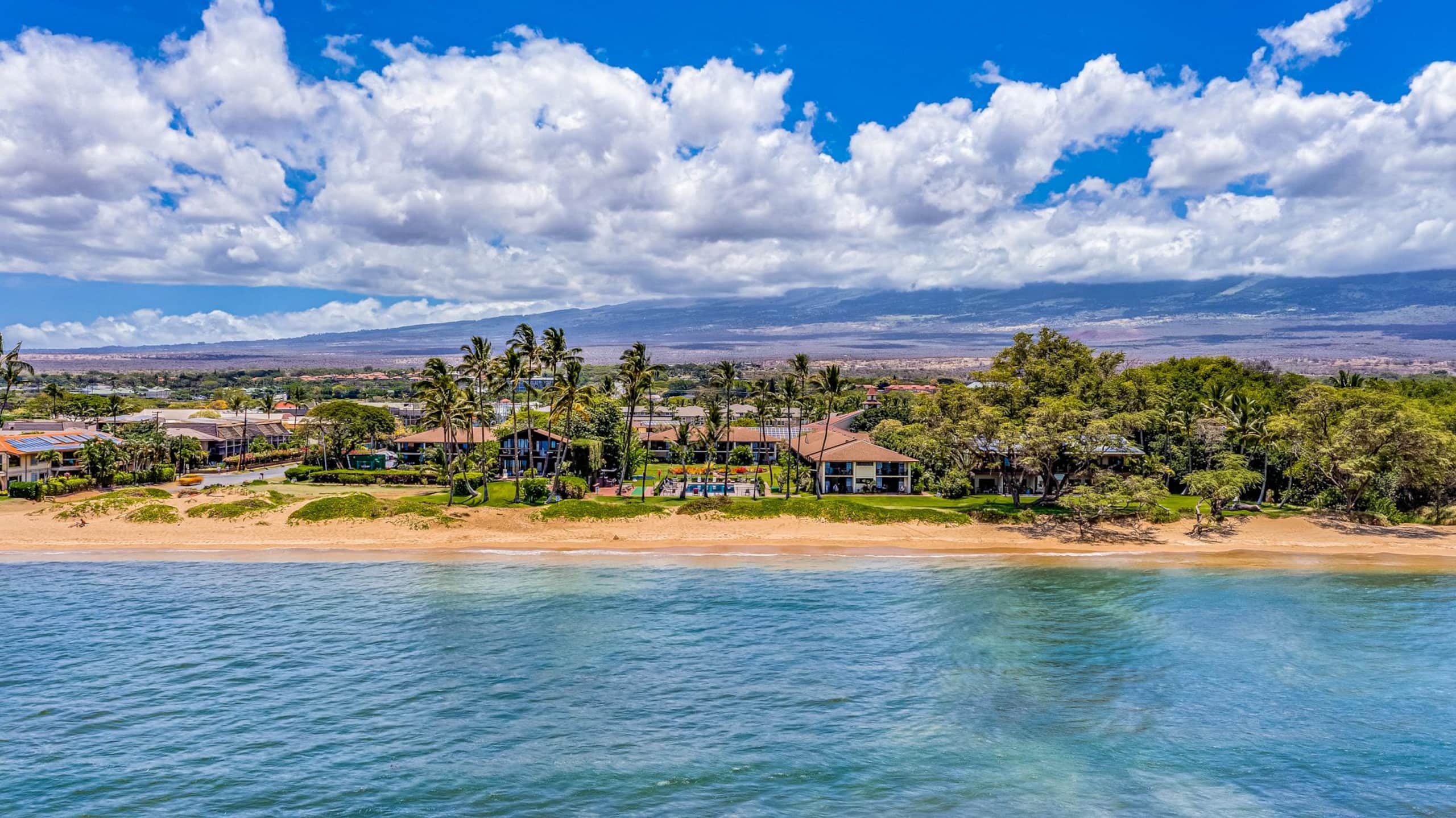 Condo in Kihei · ★4.92 · 1 bedroom · 2 beds · 1 shared bath - Image 27