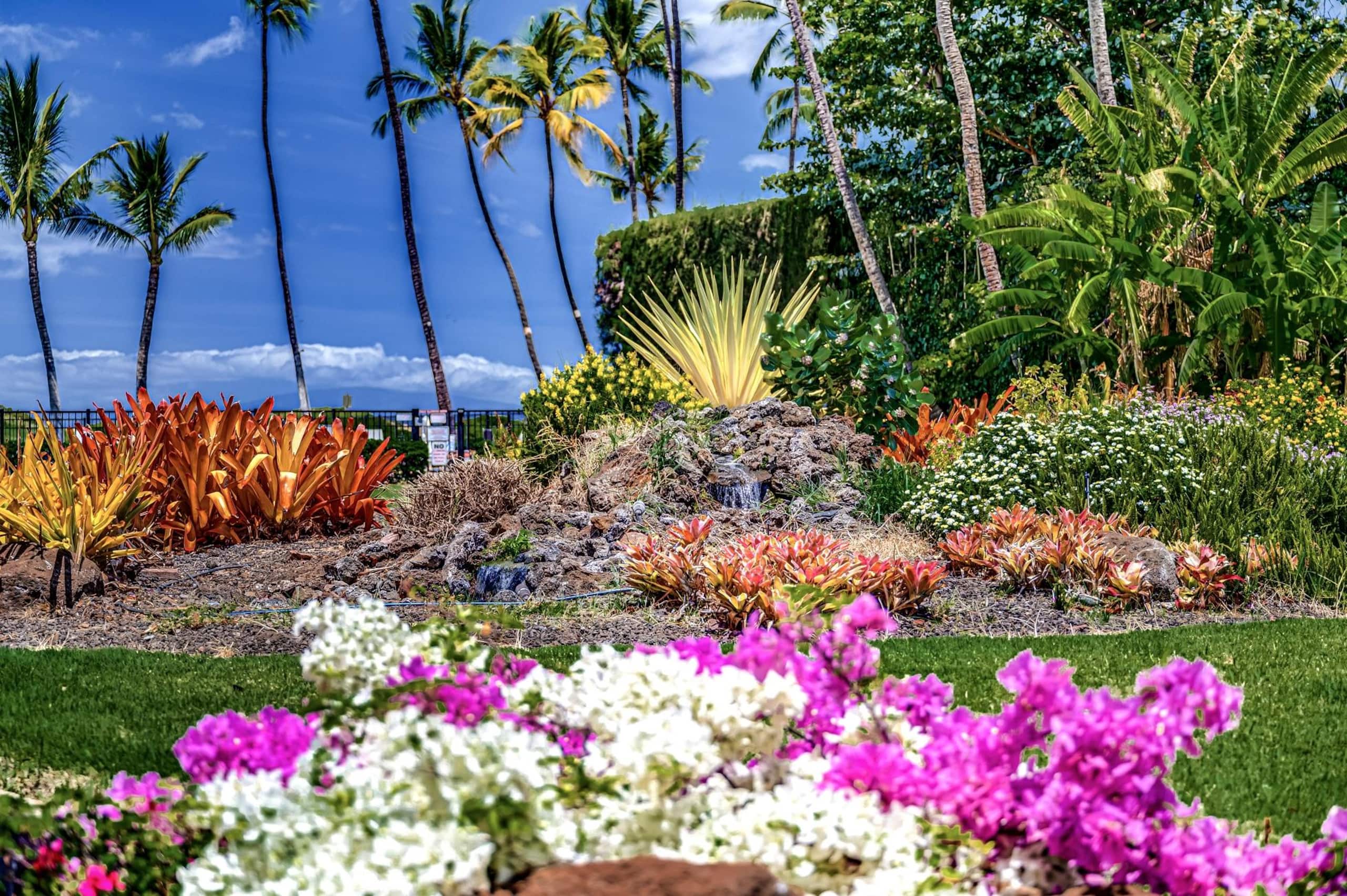 Condo in Kihei · ★4.92 · 1 bedroom · 2 beds · 1 shared bath - Image 17