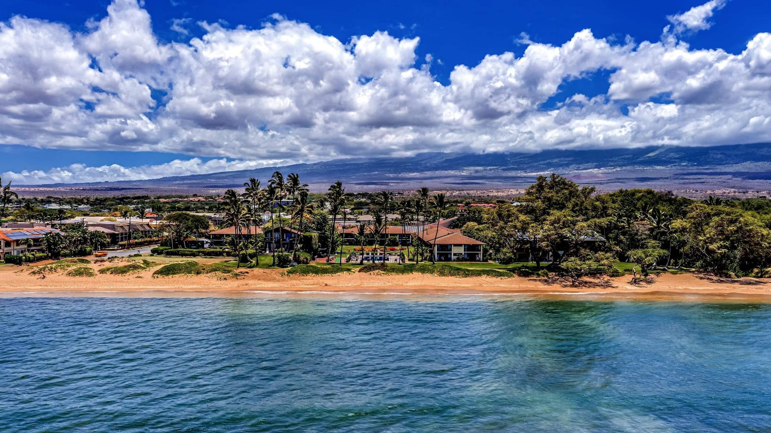 Condo in Kihei · ★4.92 · 1 bedroom · 2 beds · 1 shared bath - Image 18