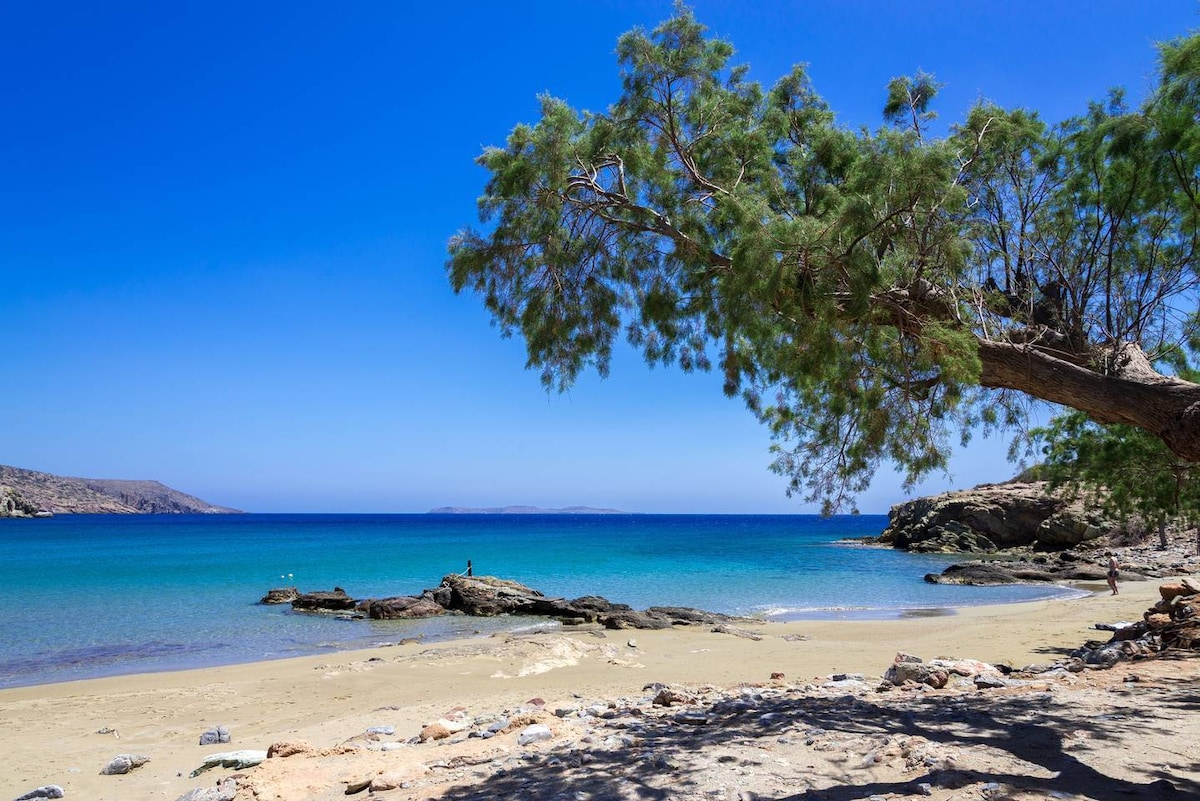 A serene beach scene is presented, featuring soft golden sand and clear, turquoise waters. A large tree offers shade to the sandy area, while gentle waves lap against the shore. In the distance, rocky formations and a distant landmass are visible under a bright blue sky.