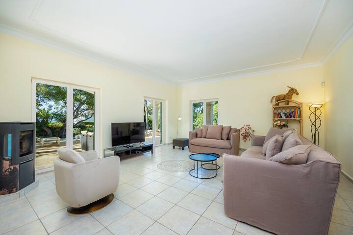 Can Camelia gallery image 3