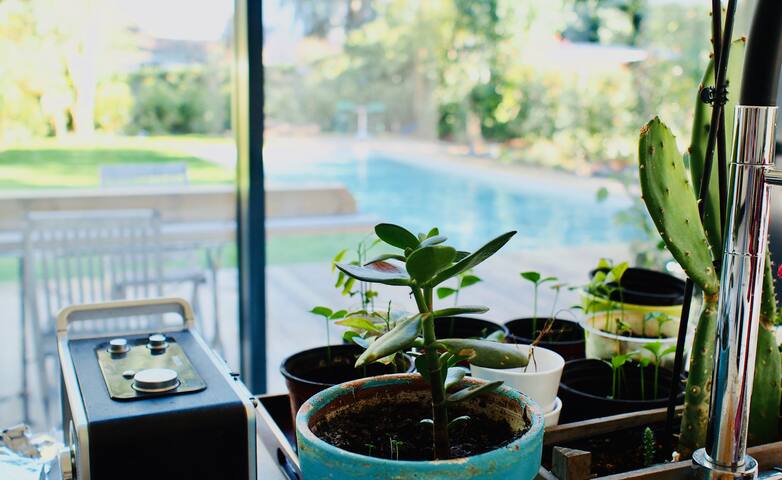 Oasis of greenery and tranquility with swimming po gallery image 5