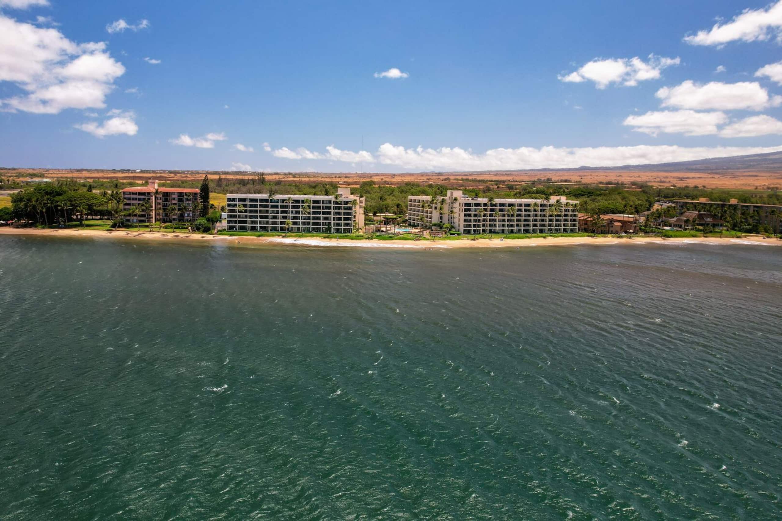 Condo in Kihei · ★4.71 · 1 bedroom · 2 beds · 1 bath - Image 43