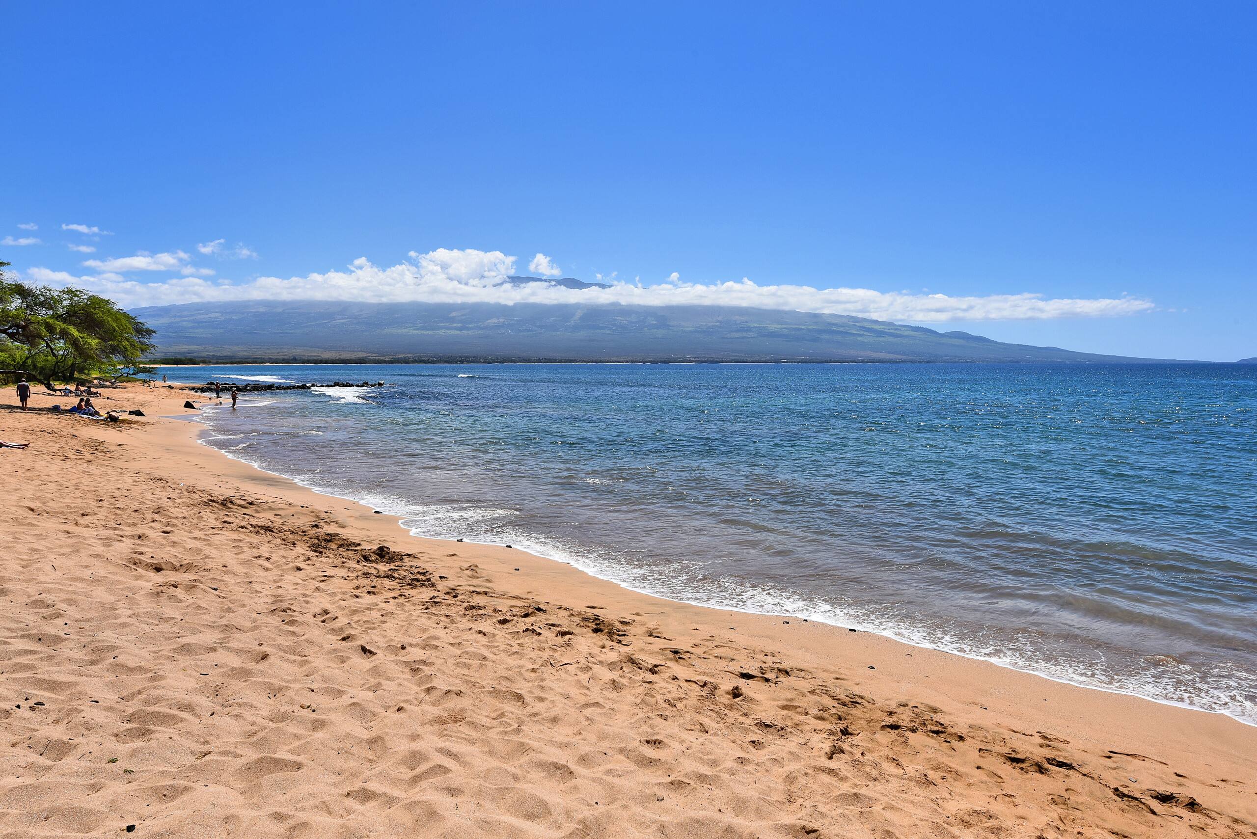 Condo in Wailuku · ★4.66 · 1 bedroom · 2 beds · 1 bath - Image 56