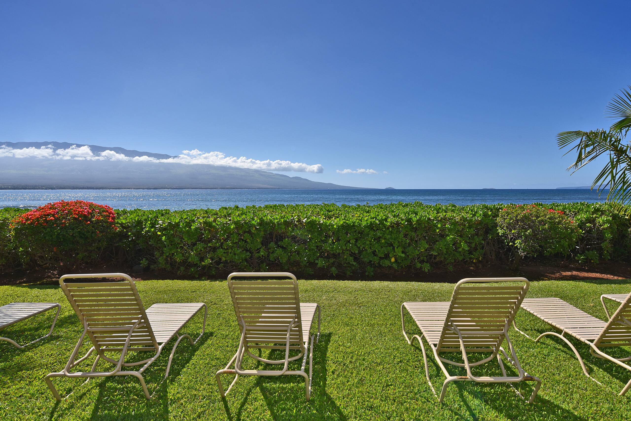 Condo in Wailuku · ★4.66 · 1 bedroom · 2 beds · 1 bath - Image 25