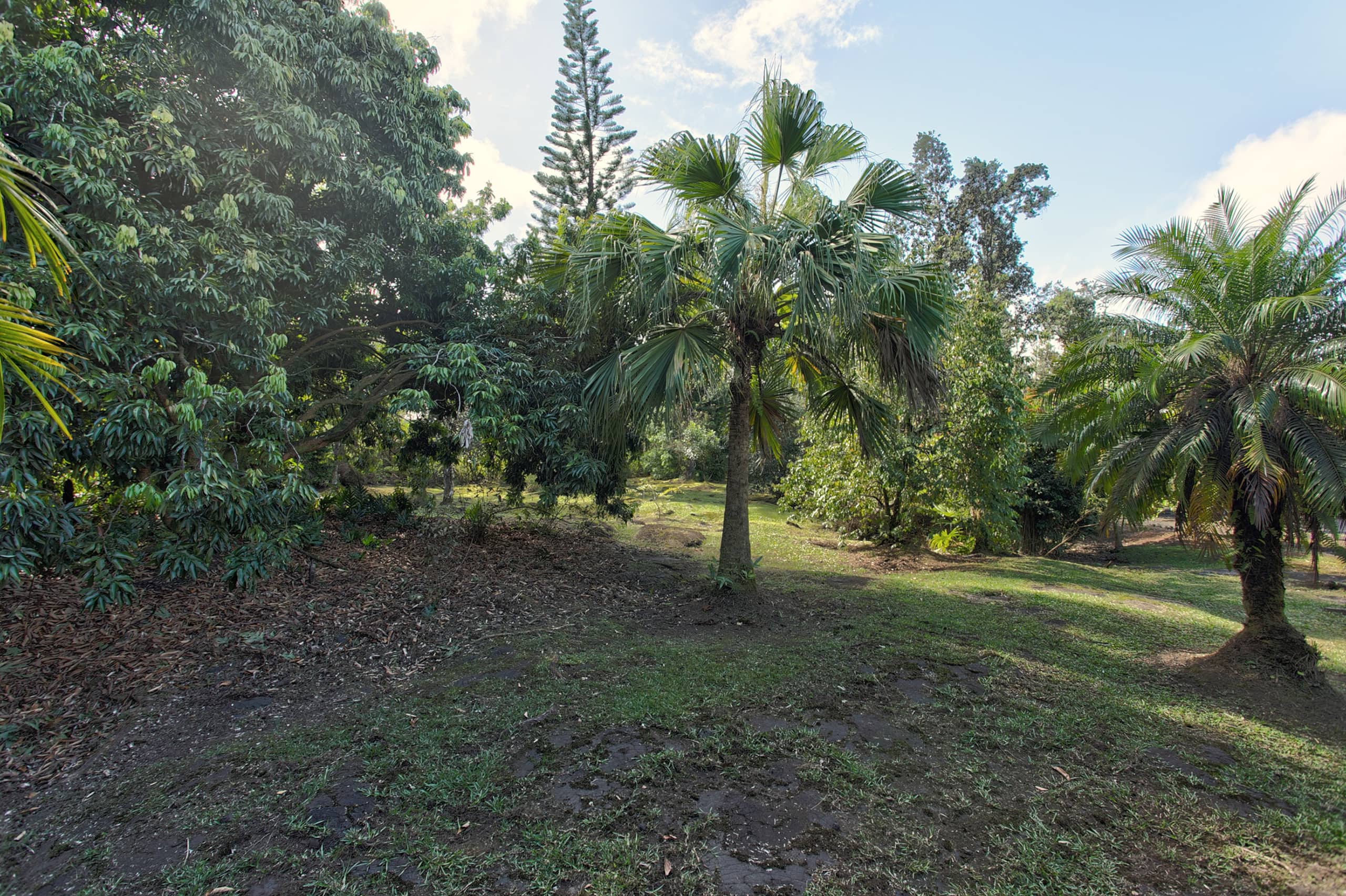 Home in Keaau · ★4.6 · 1 bedroom · 1 bed · 1.5 baths - Image 32