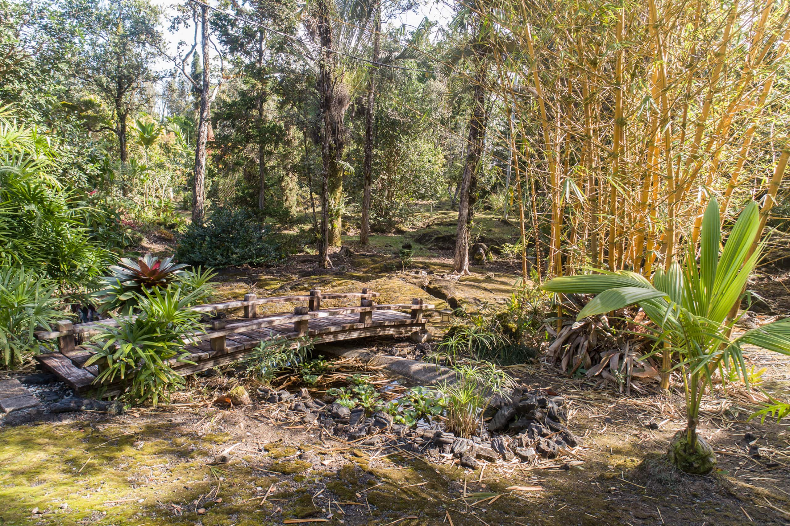 Home in Keaau · ★4.6 · 1 bedroom · 1 bed · 1.5 baths - Image 31