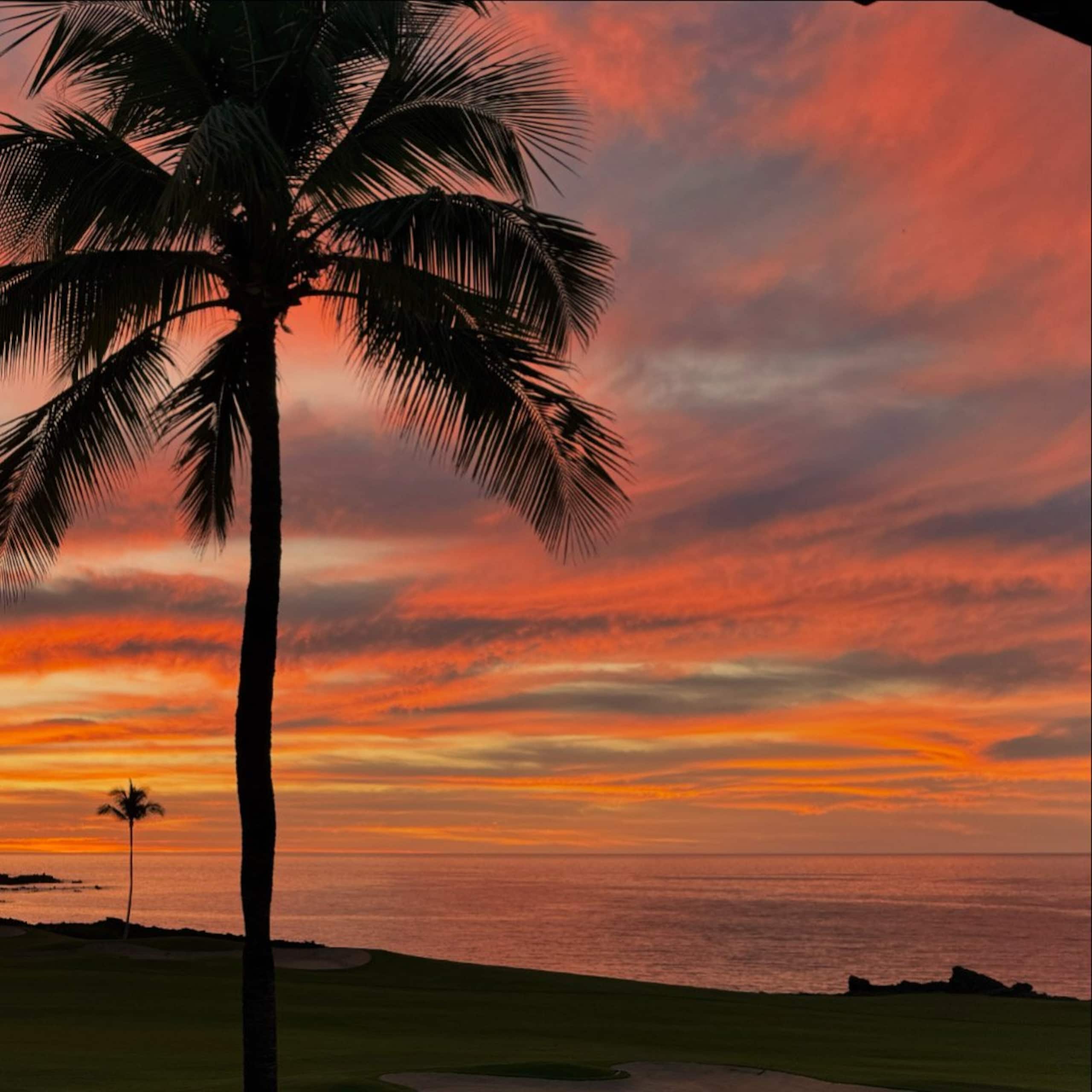 2BR Breathtaking Ocean Views in Mauna Lani Point - Image 1