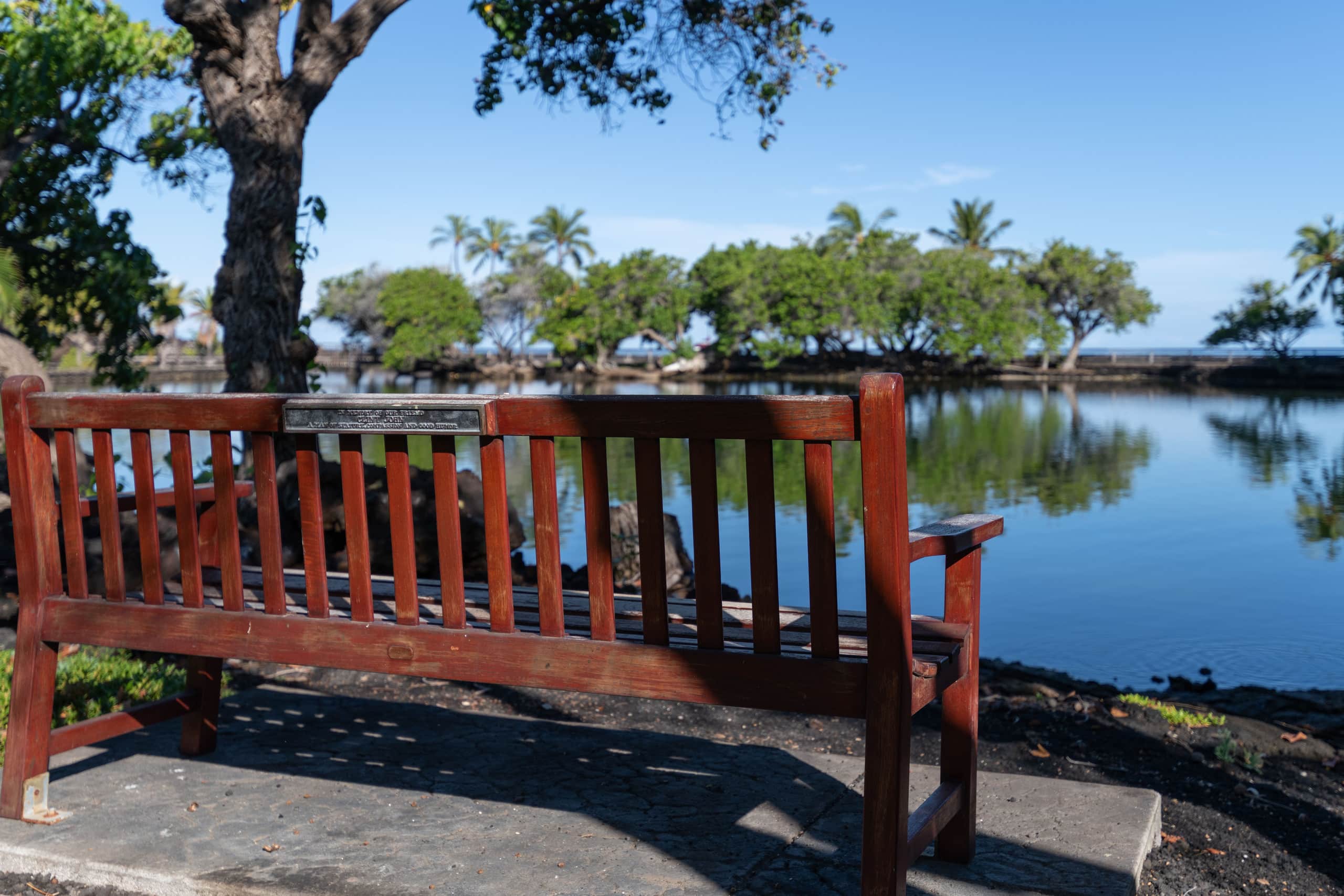 Amazing Mauna Lani Point, ocean & Mountain views! - Image 35
