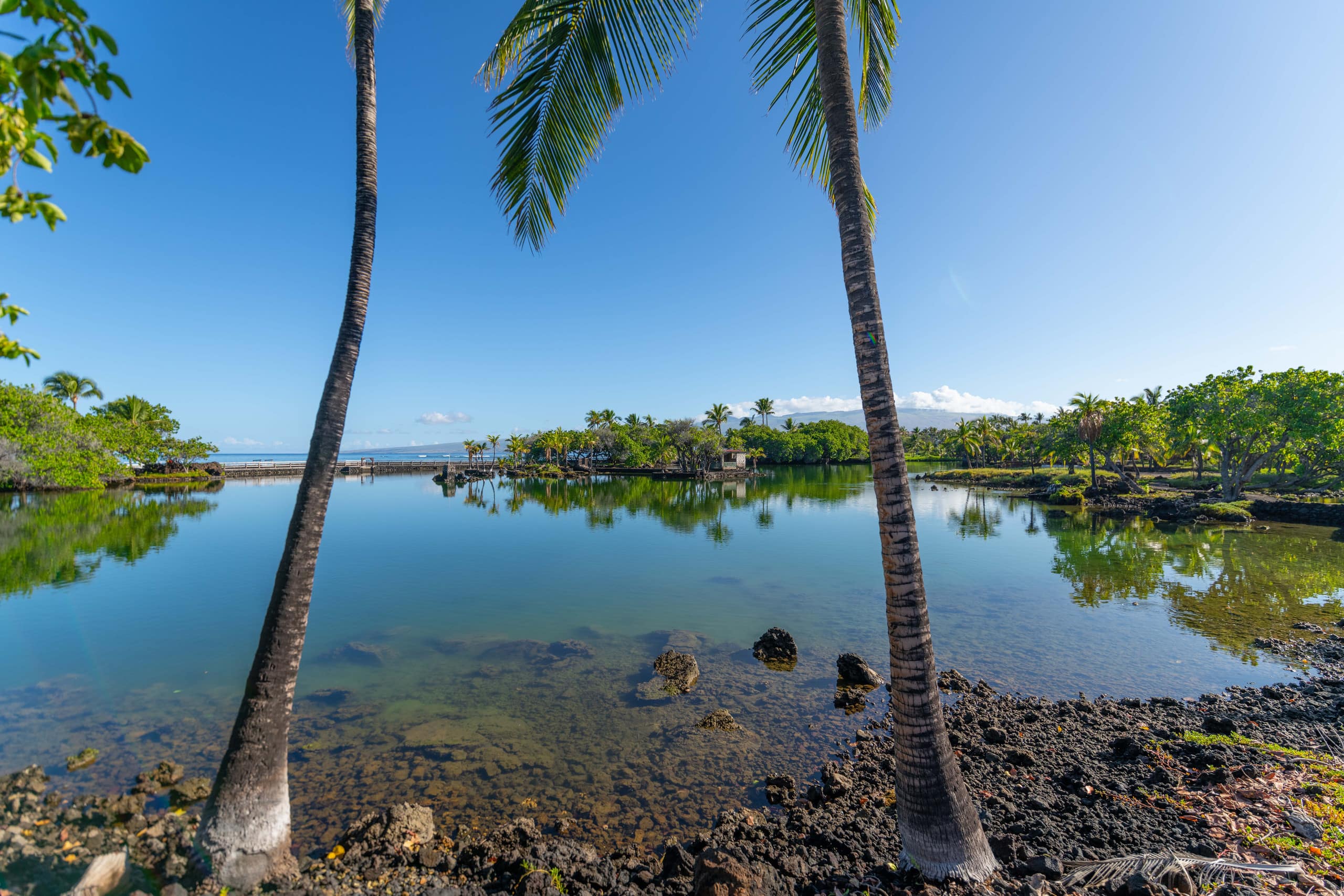 Amazing Mauna Lani Point, ocean & Mountain views! - Image 34