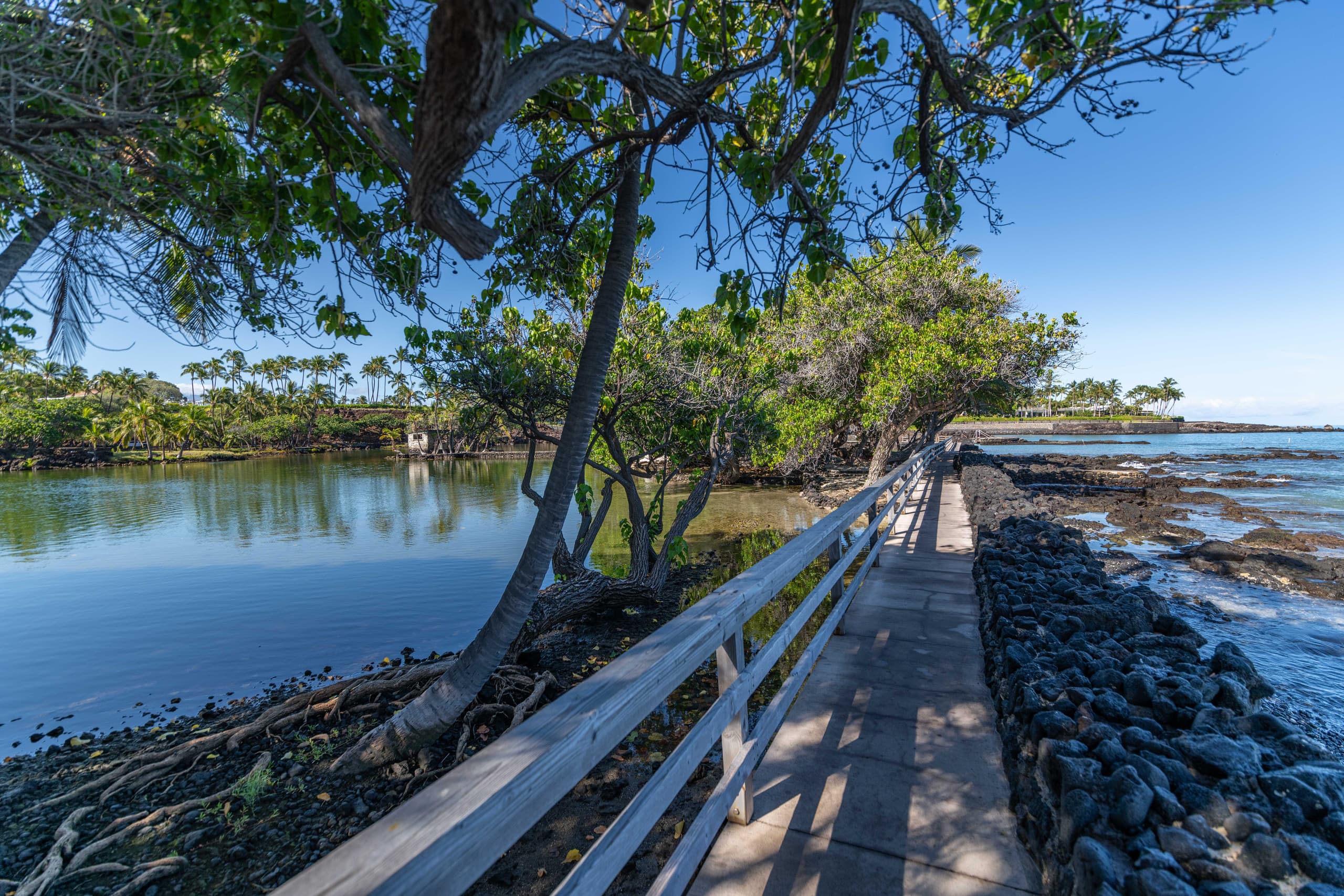 Amazing Mauna Lani Point, ocean & Mountain views! - Image 27