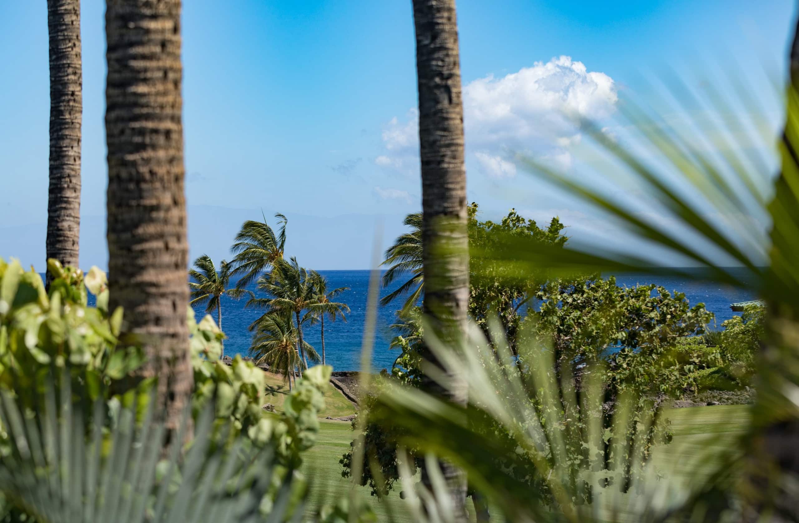 Amazing Mauna Lani Point, ocean & Mountain views! - Image 21
