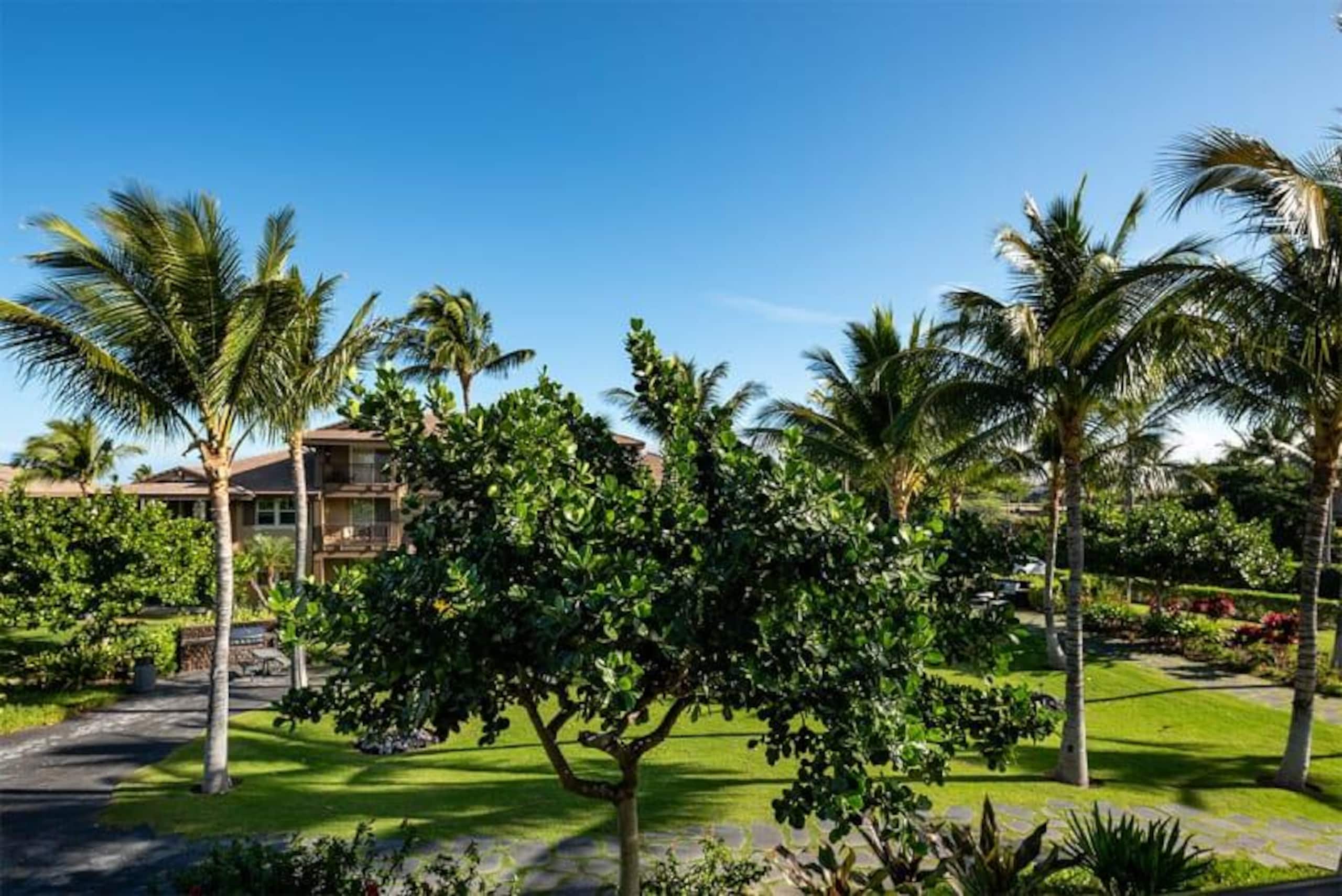 Pool access & lanai dining in Waikoloa resort - Photo 41