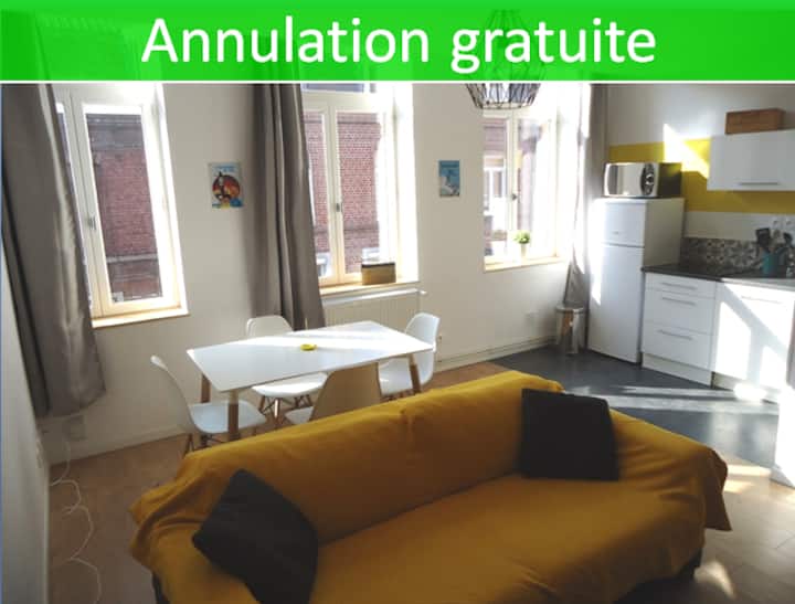 Appartement (3) T2 Proche Gares, Centre Et Métro - Lesquin