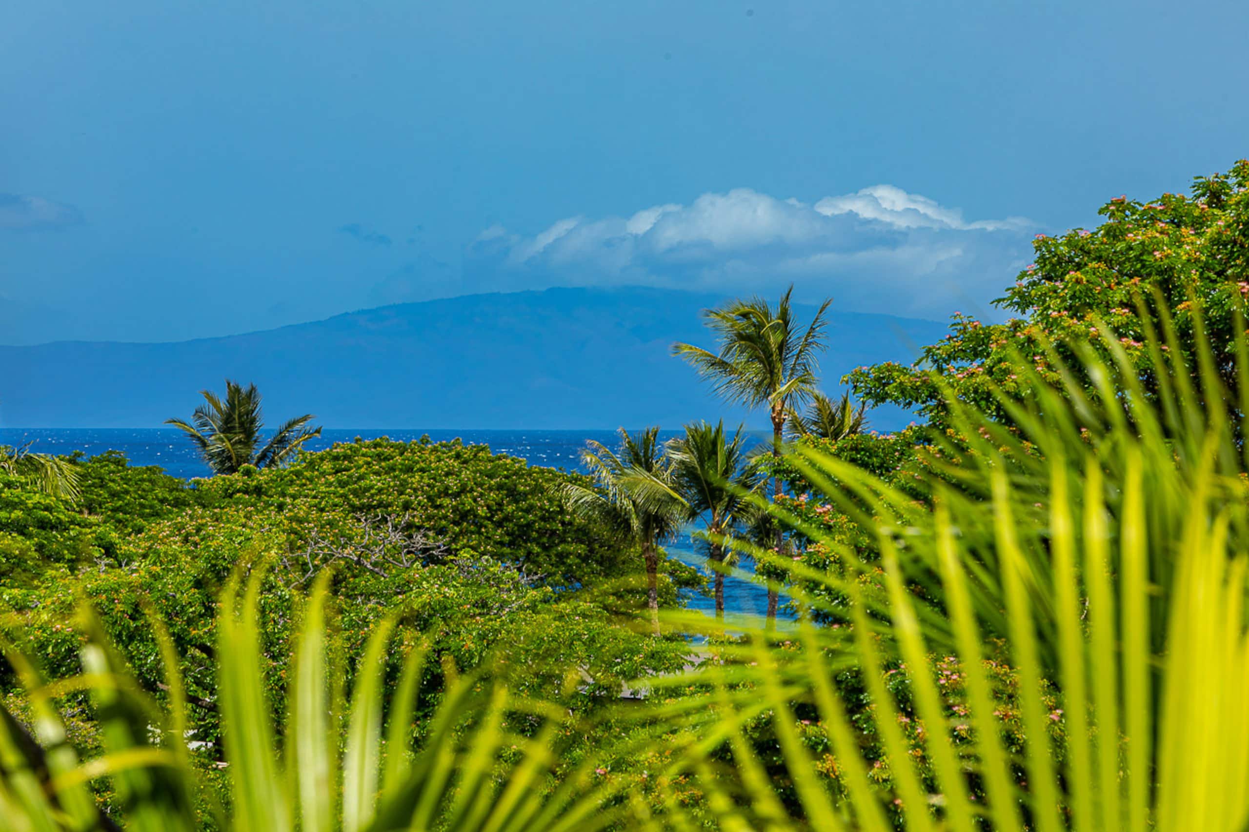 Villa in Kihei · ★4.88 · 3 bedrooms · 4 beds · 3.5 baths - Image 4