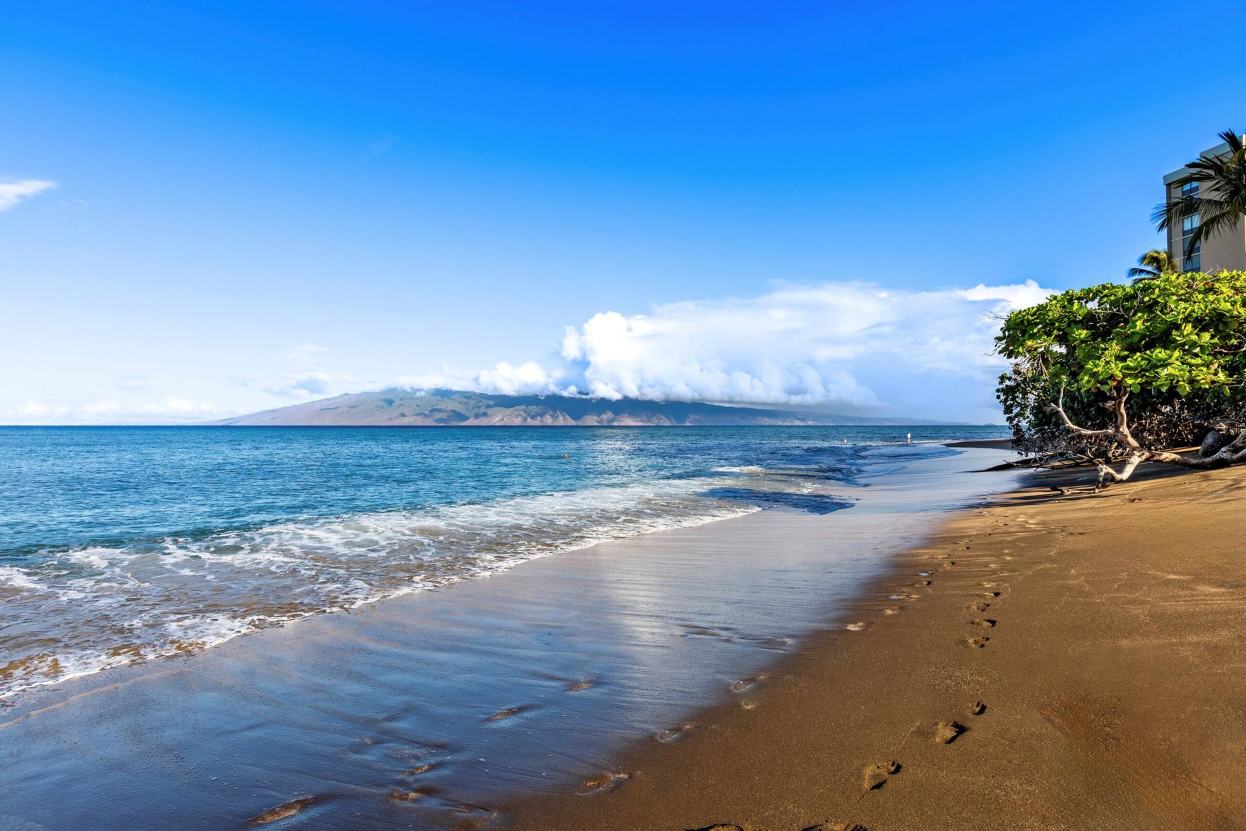 Condo in Lahaina · ★4.6 · 3 bedrooms · 5 beds · 2 baths - Image 62