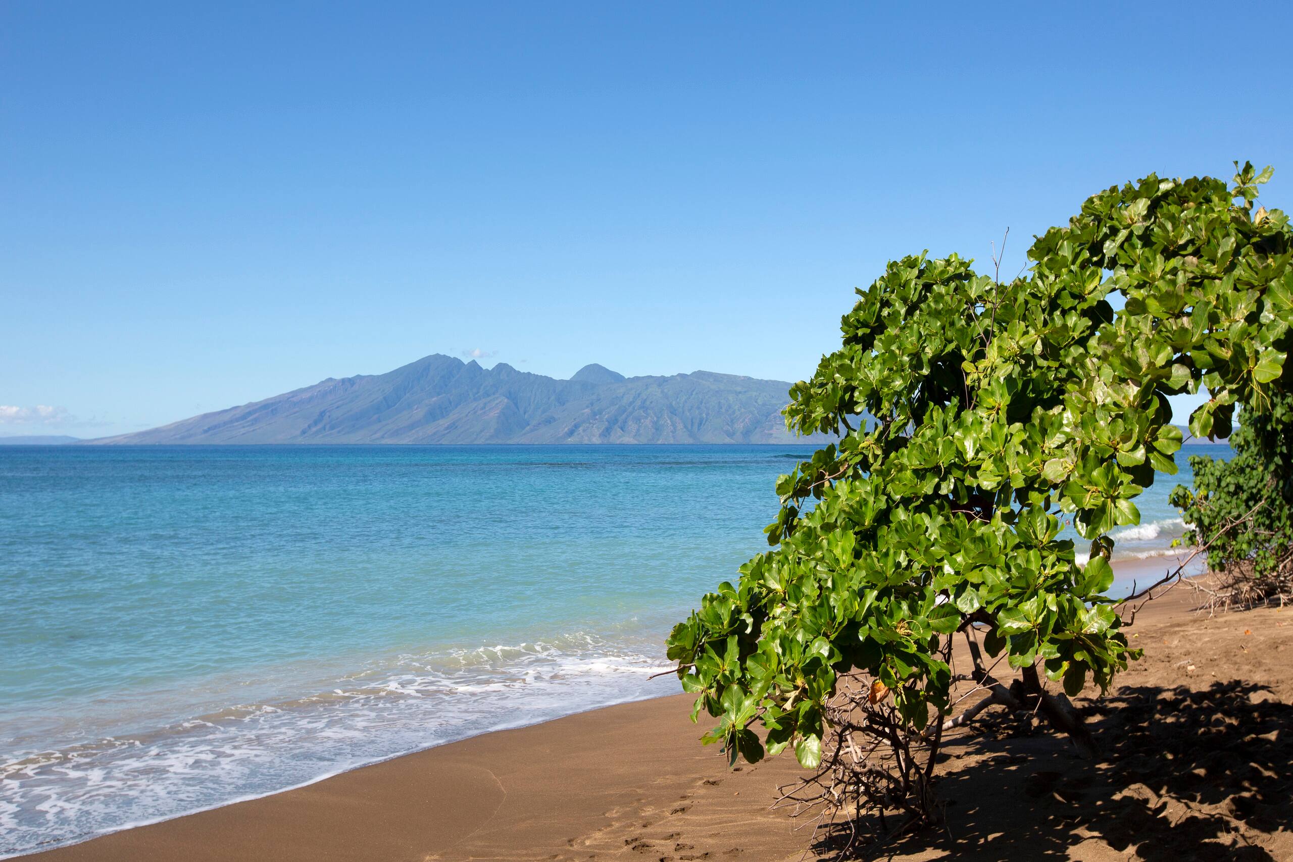 Condo in Lahaina · ★5.0 · 2 bedrooms · 4 beds · 2 baths - Image 33
