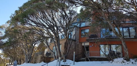 Successful Airbnb property: Peak 105 in Mount Buller
