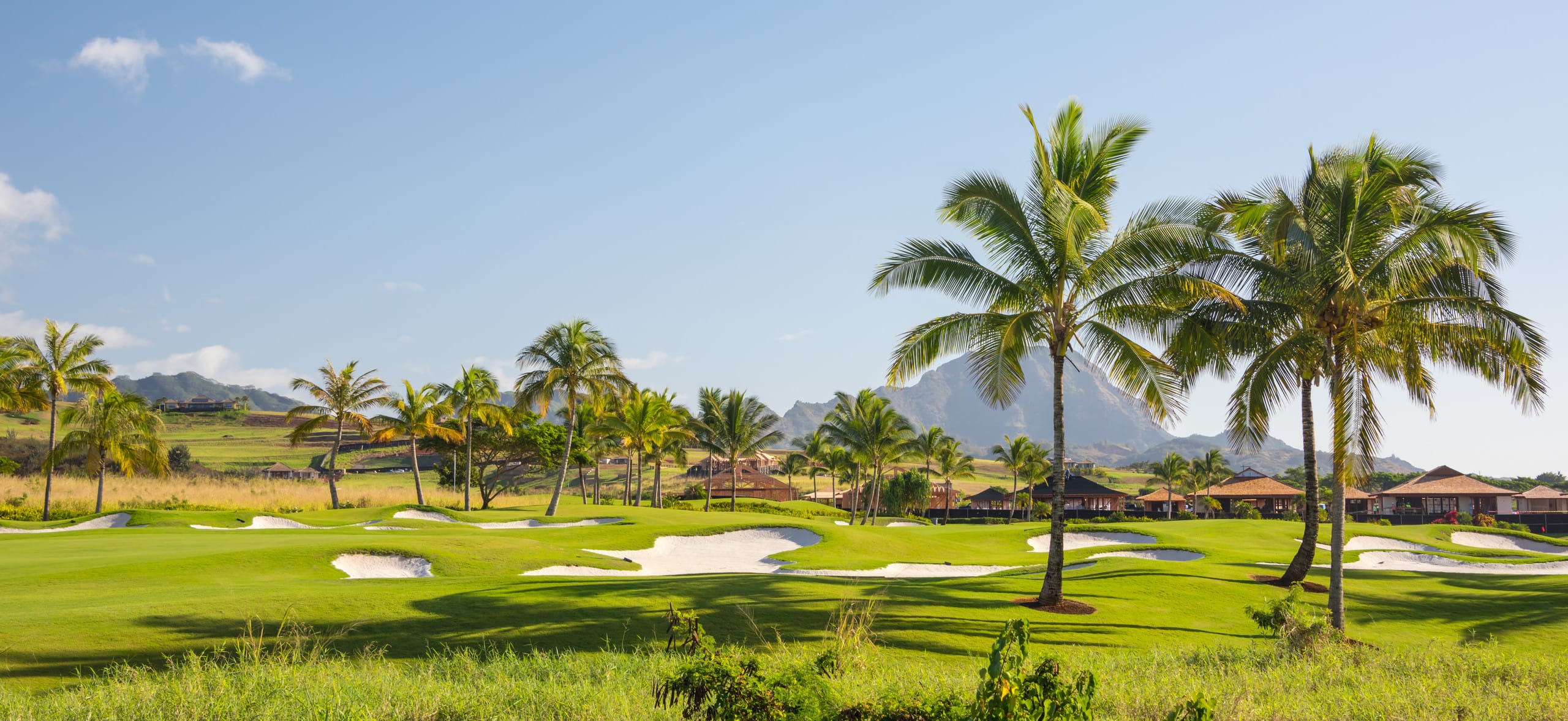 Home in Koloa · ★4.83 · 5 bedrooms · 8 beds · 3 private baths - Image 71
