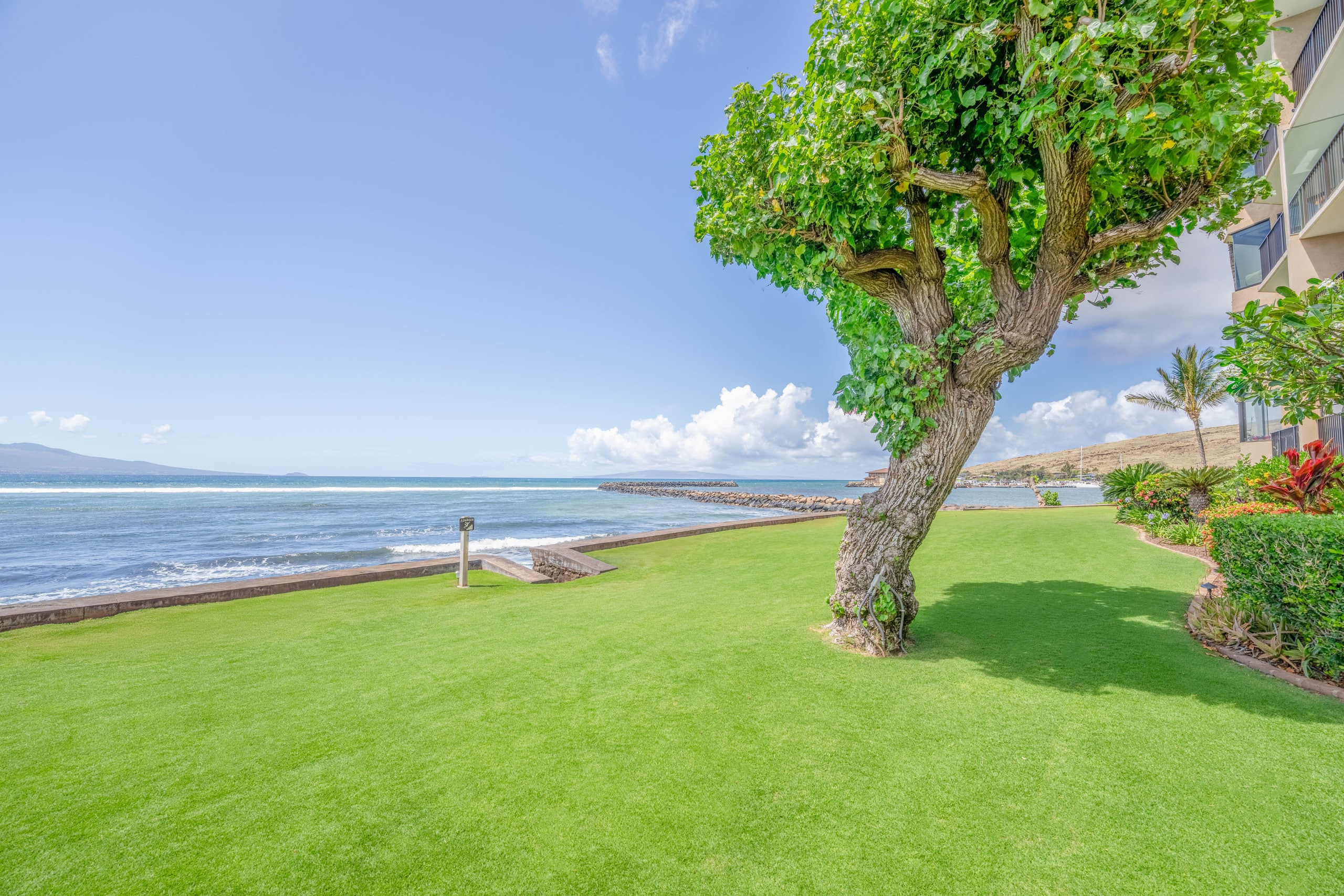 Condo in Wailuku · ★4.87 · 1 bedroom · 2 beds · 1 bath - Image 43