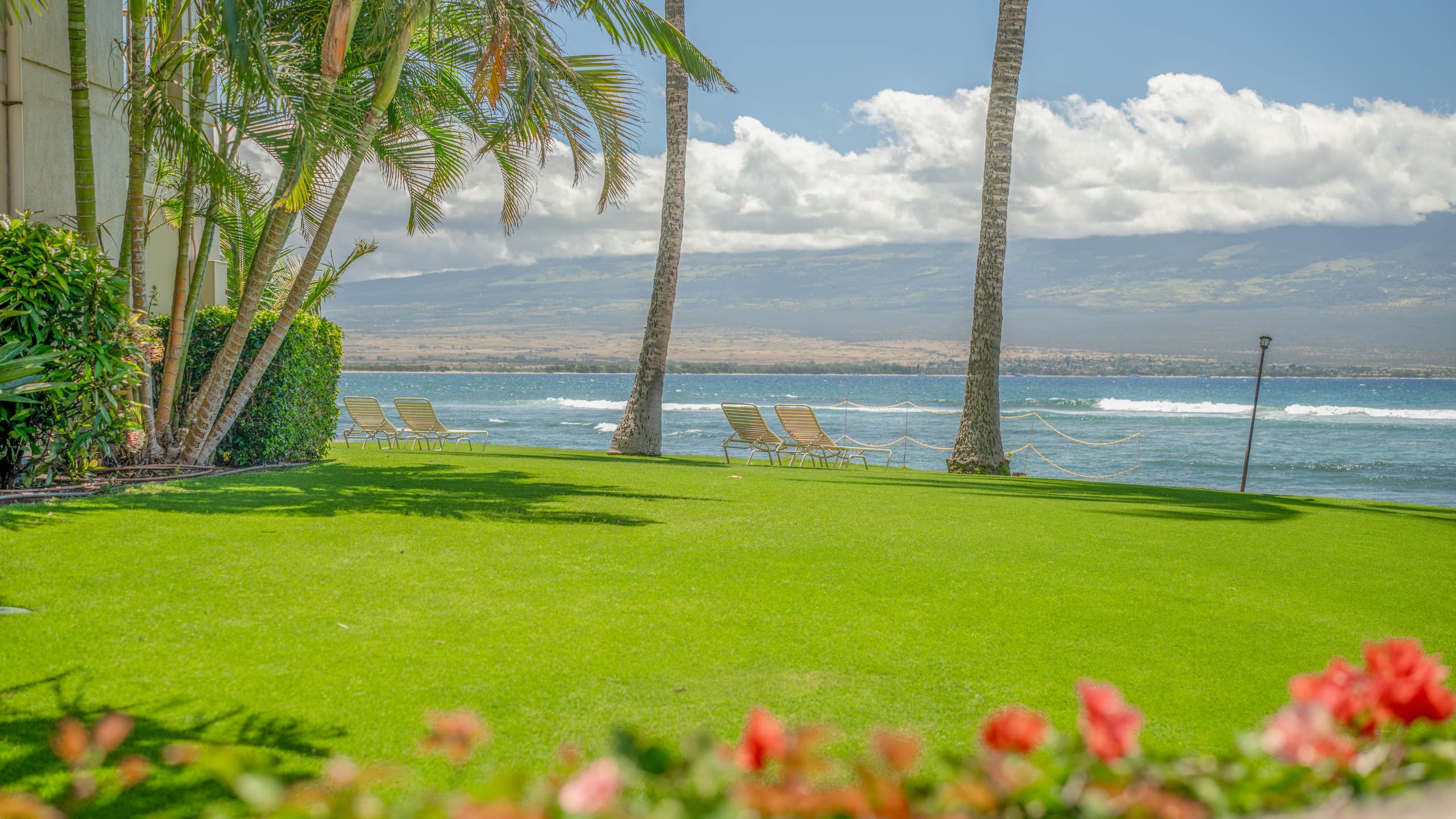 Condo in Wailuku · ★4.87 · 1 bedroom · 2 beds · 1 bath - Image 45