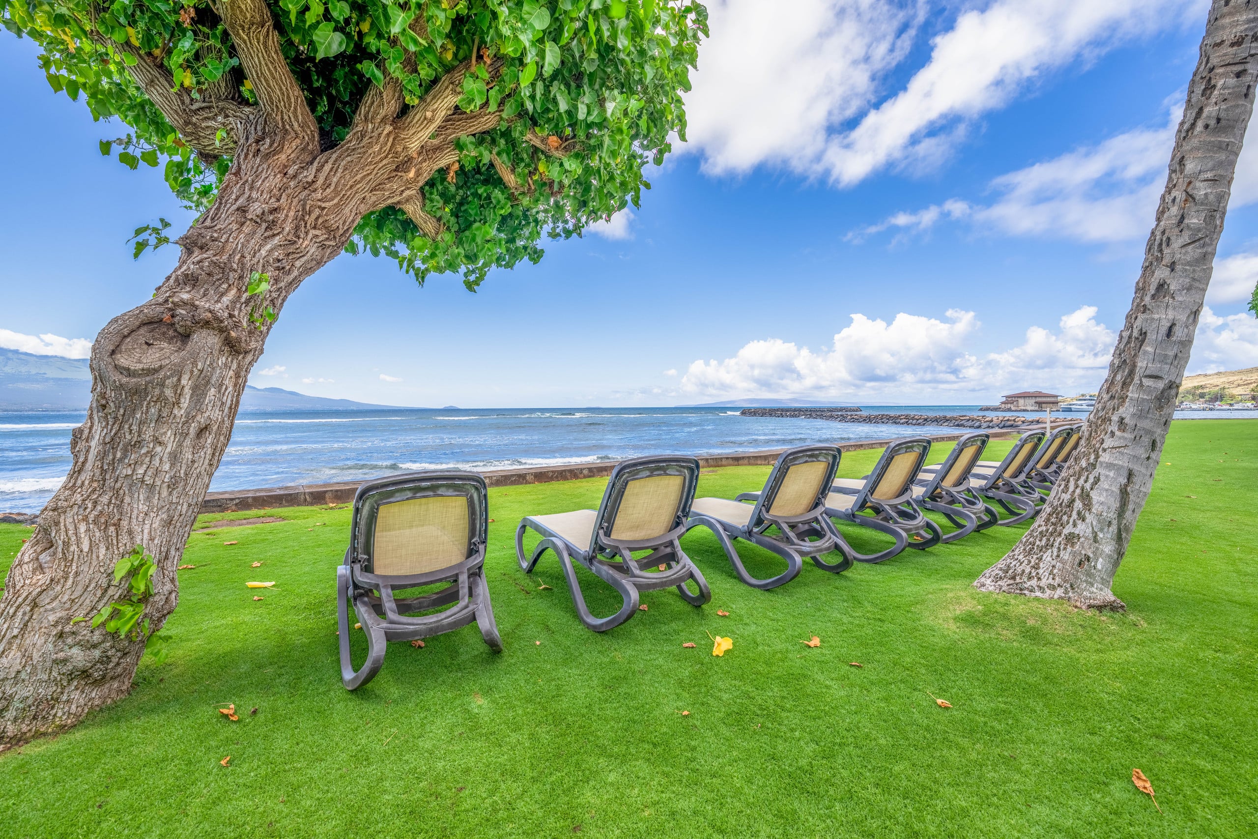 Condo in Wailuku · ★4.87 · 1 bedroom · 2 beds · 1 bath - Image 41