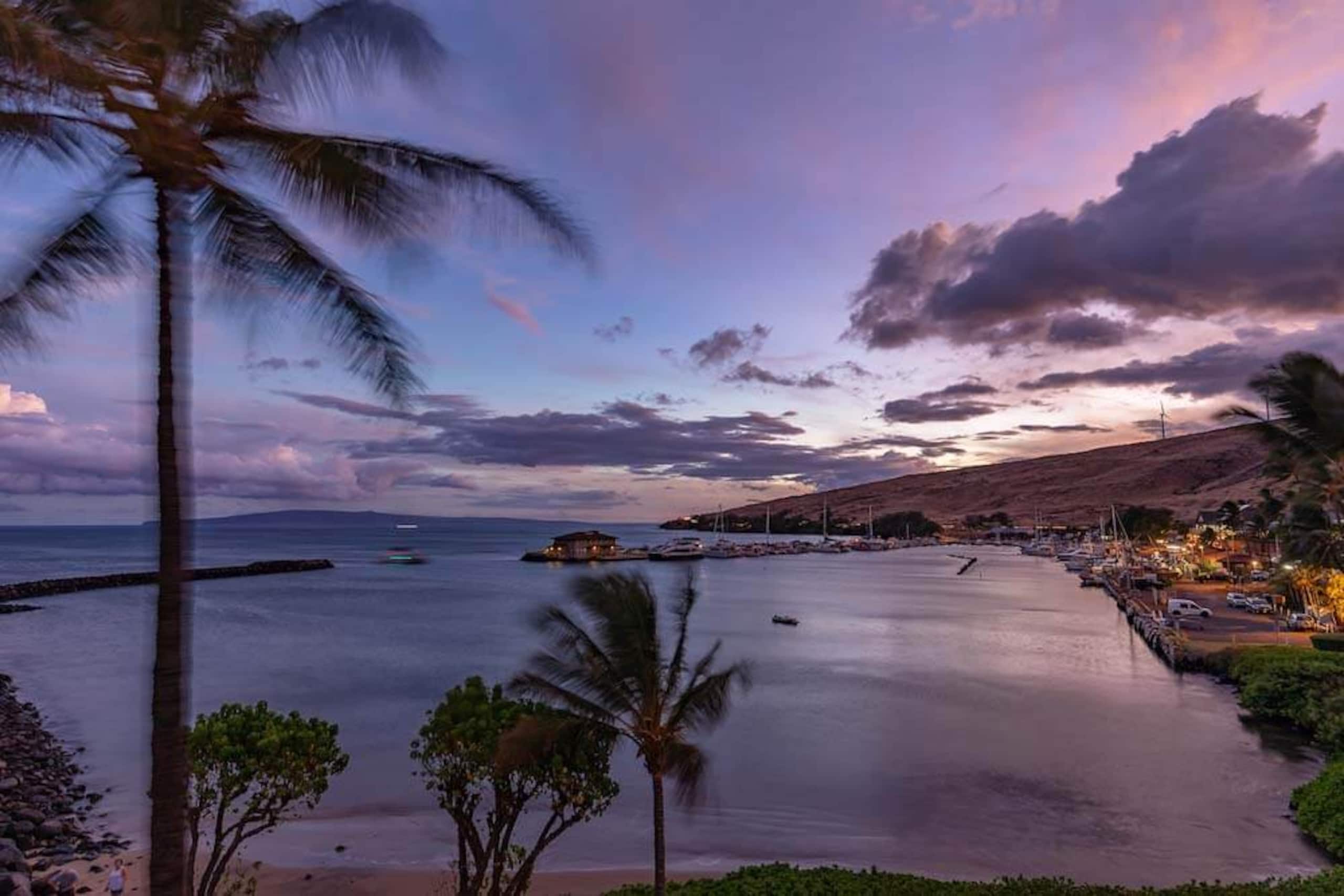 Condo in Wailuku · ★4.87 · 1 bedroom · 2 beds · 1 bath - Image 30