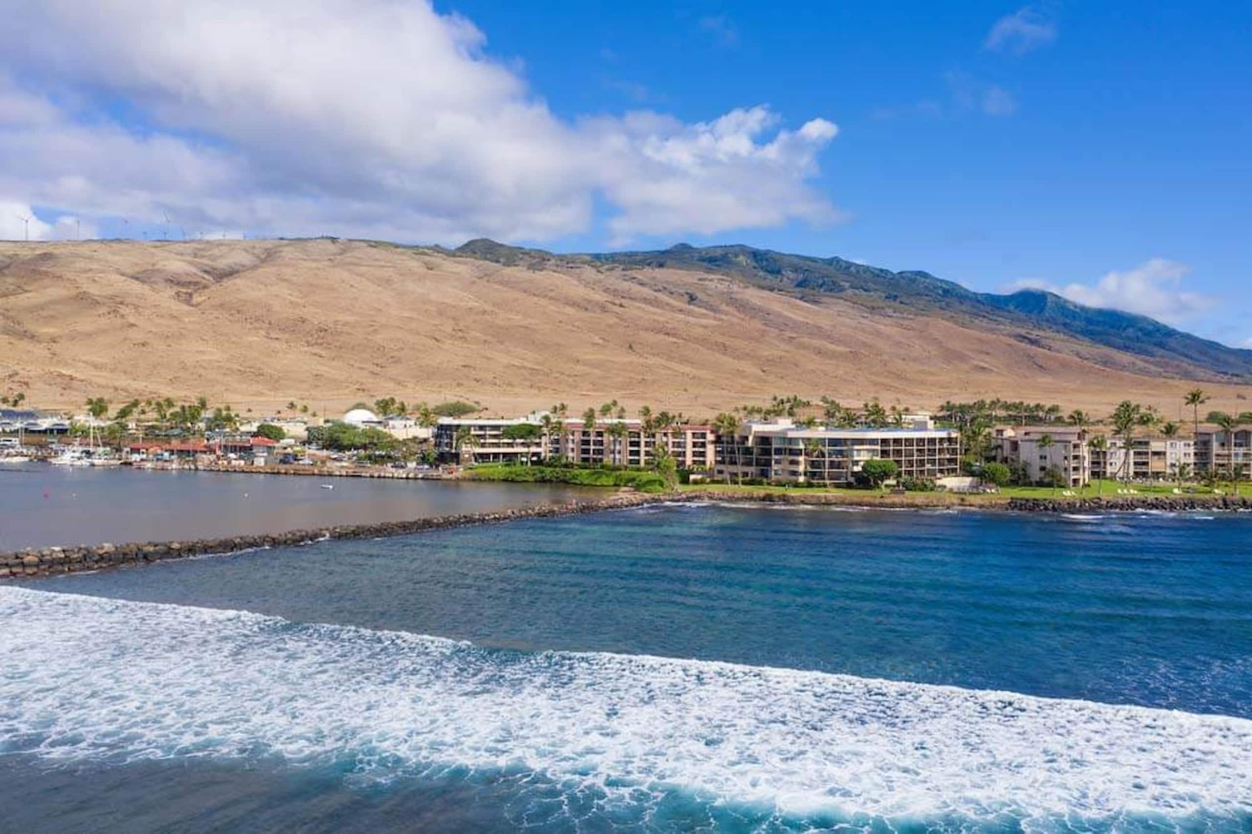Condo in Wailuku · ★4.87 · 1 bedroom · 2 beds · 1 bath - Image 36