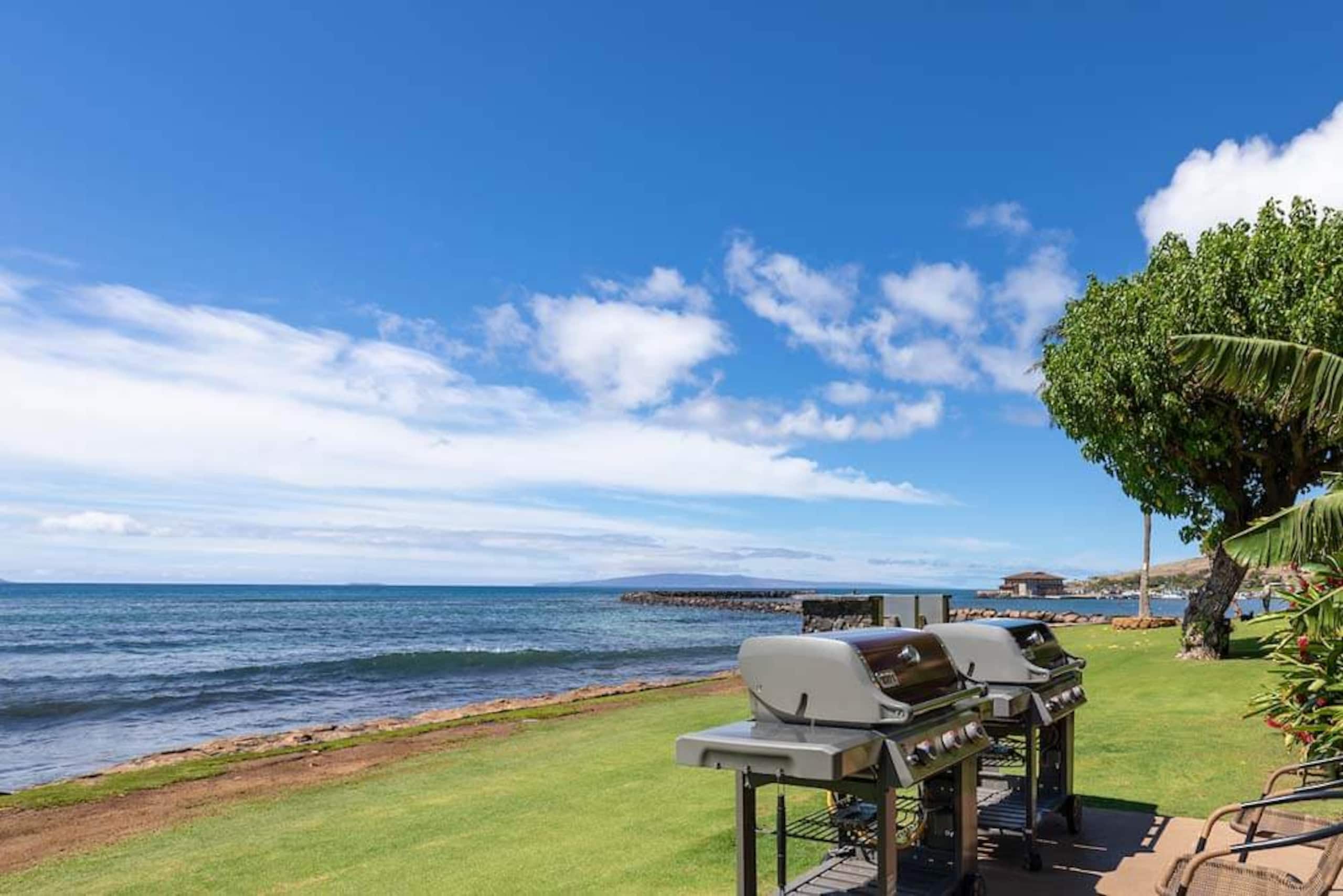 Condo in Wailuku · ★4.87 · 1 bedroom · 2 beds · 1 bath - Image 33
