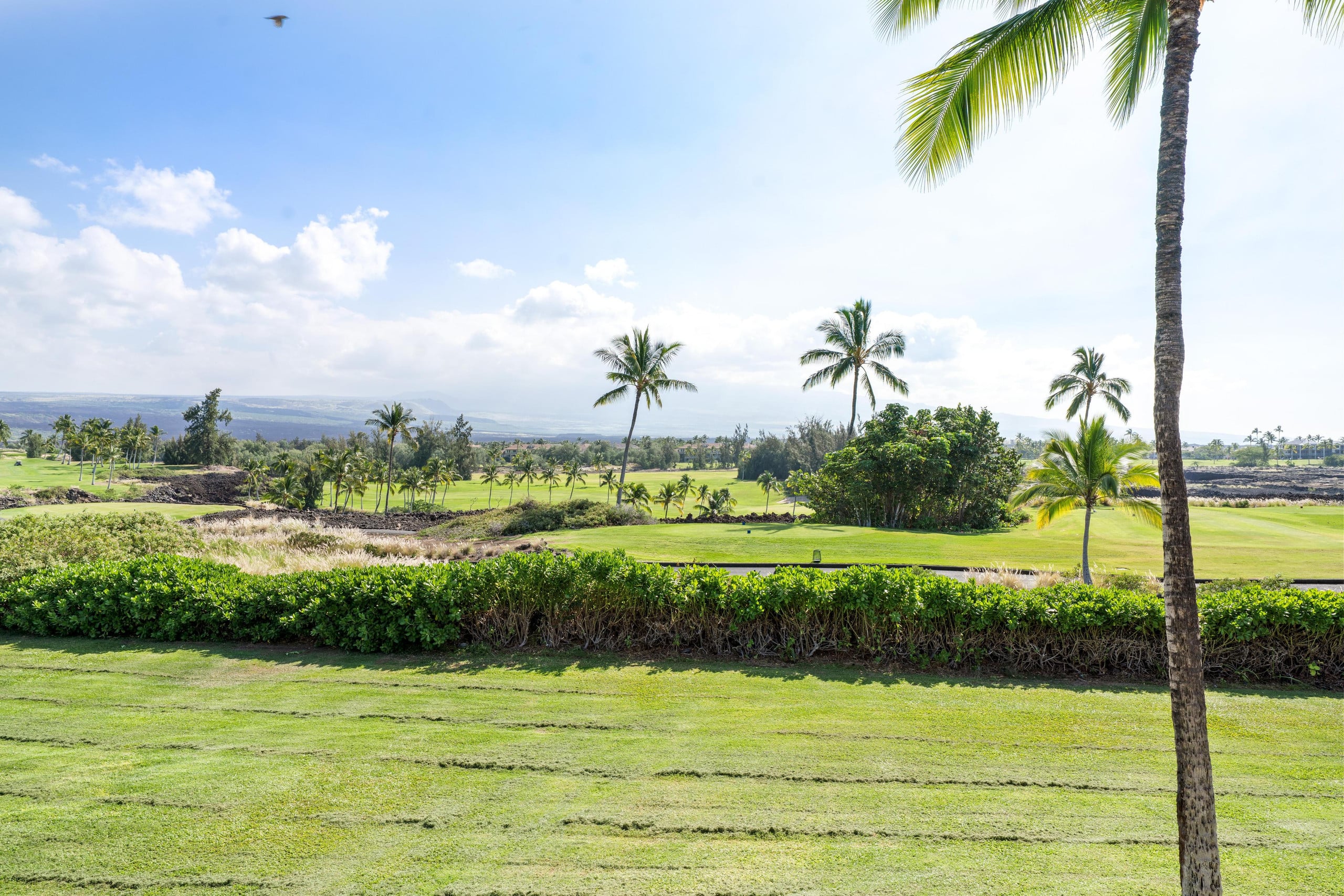 Condo in Waikoloa Beach Resort · ★4.88 · 2 bedrooms · 2 beds · 2.5 baths - Photo 43