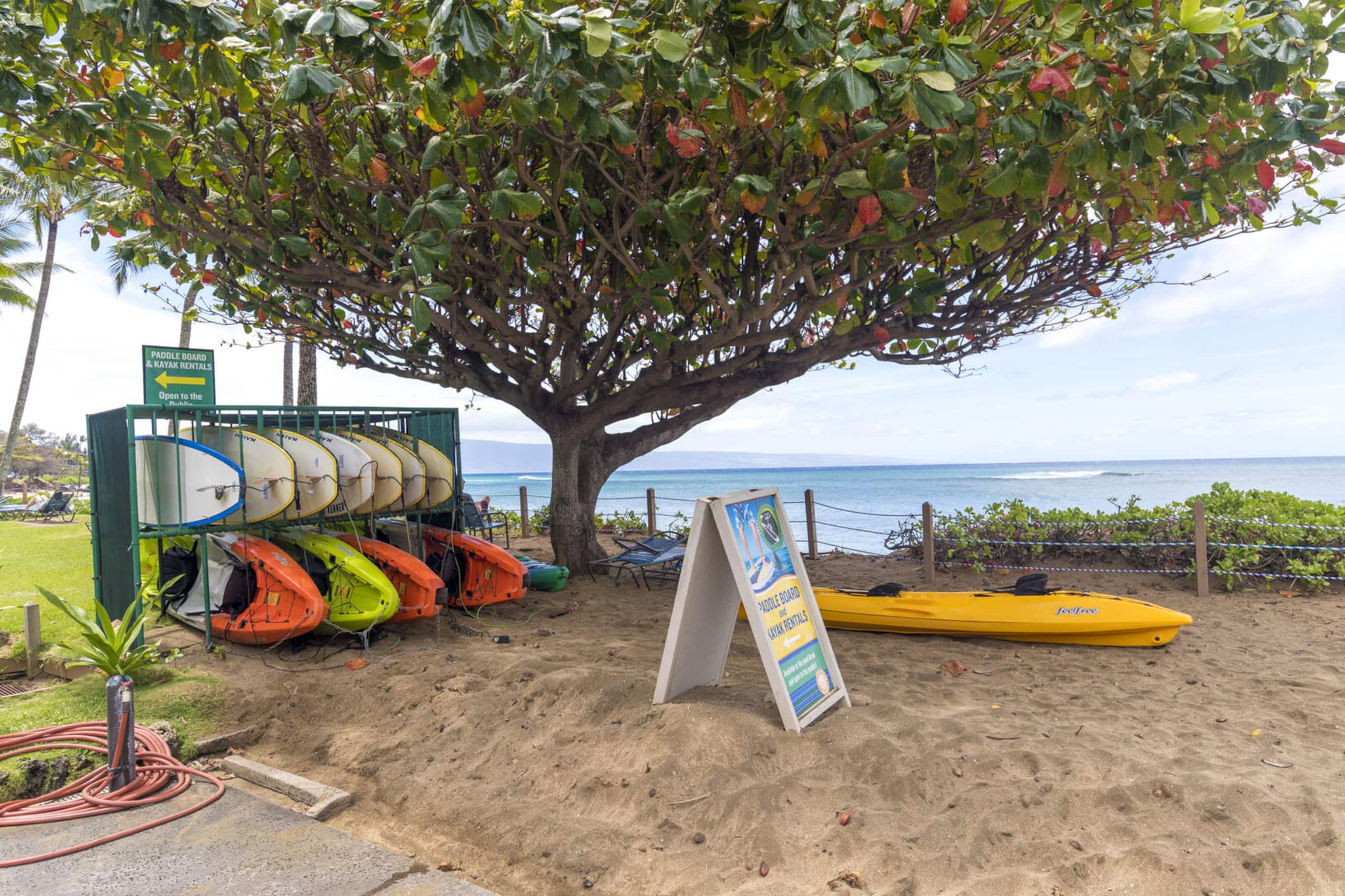 Condo in Lahaina · ★4.89 · 2 bedrooms · 3 beds · 2 private baths - Image 27