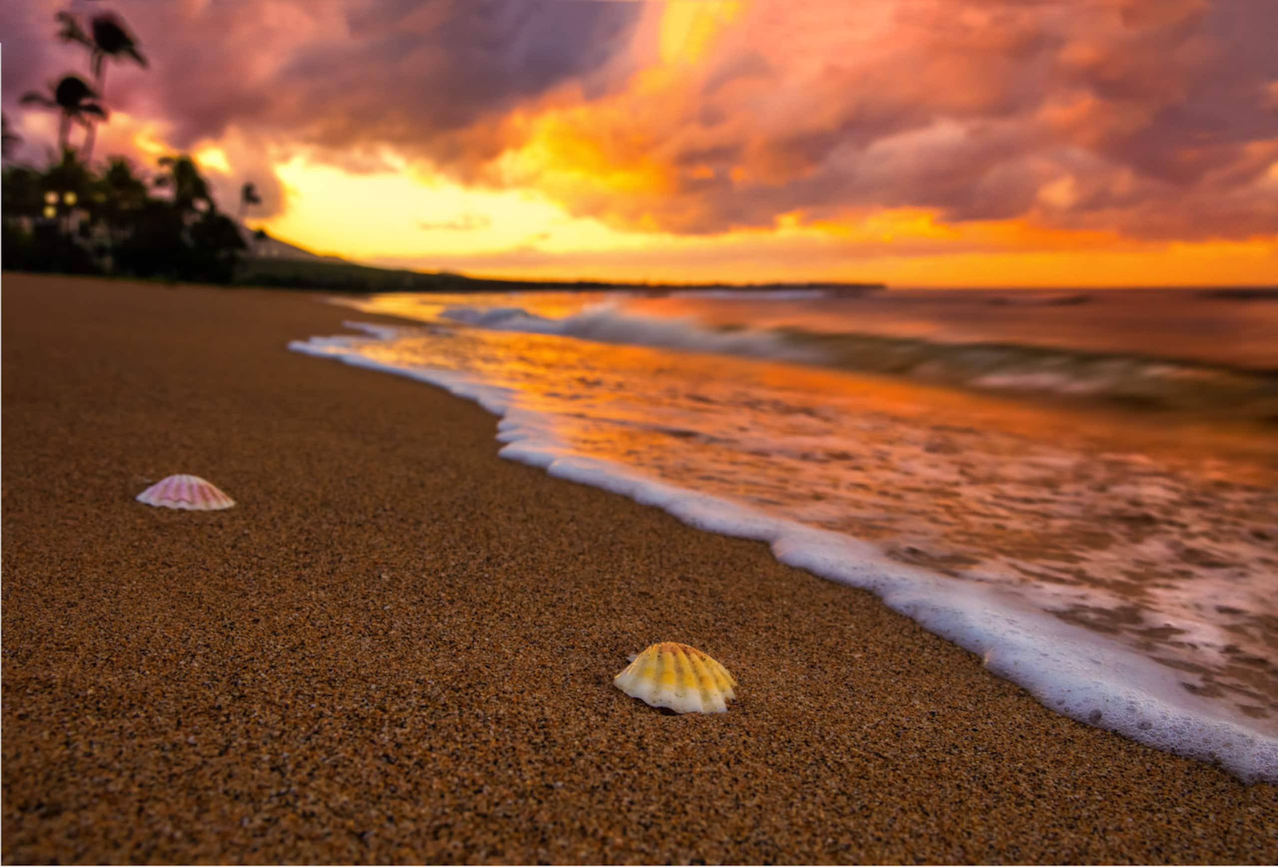 Home in Kahuku · ★4.8 · 3 bedrooms · 5 beds · 3 private baths - Image 39
