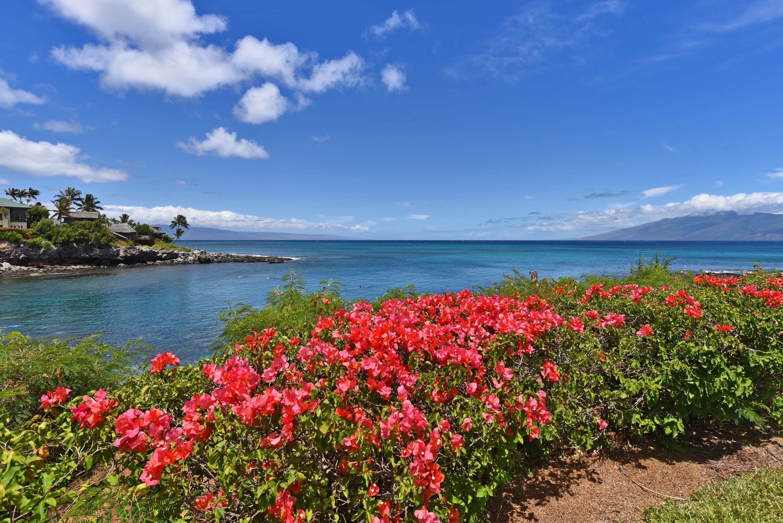 Condo in Lahaina · ★4.64 · 2 bedrooms · 4 beds · 2 baths - Image 38