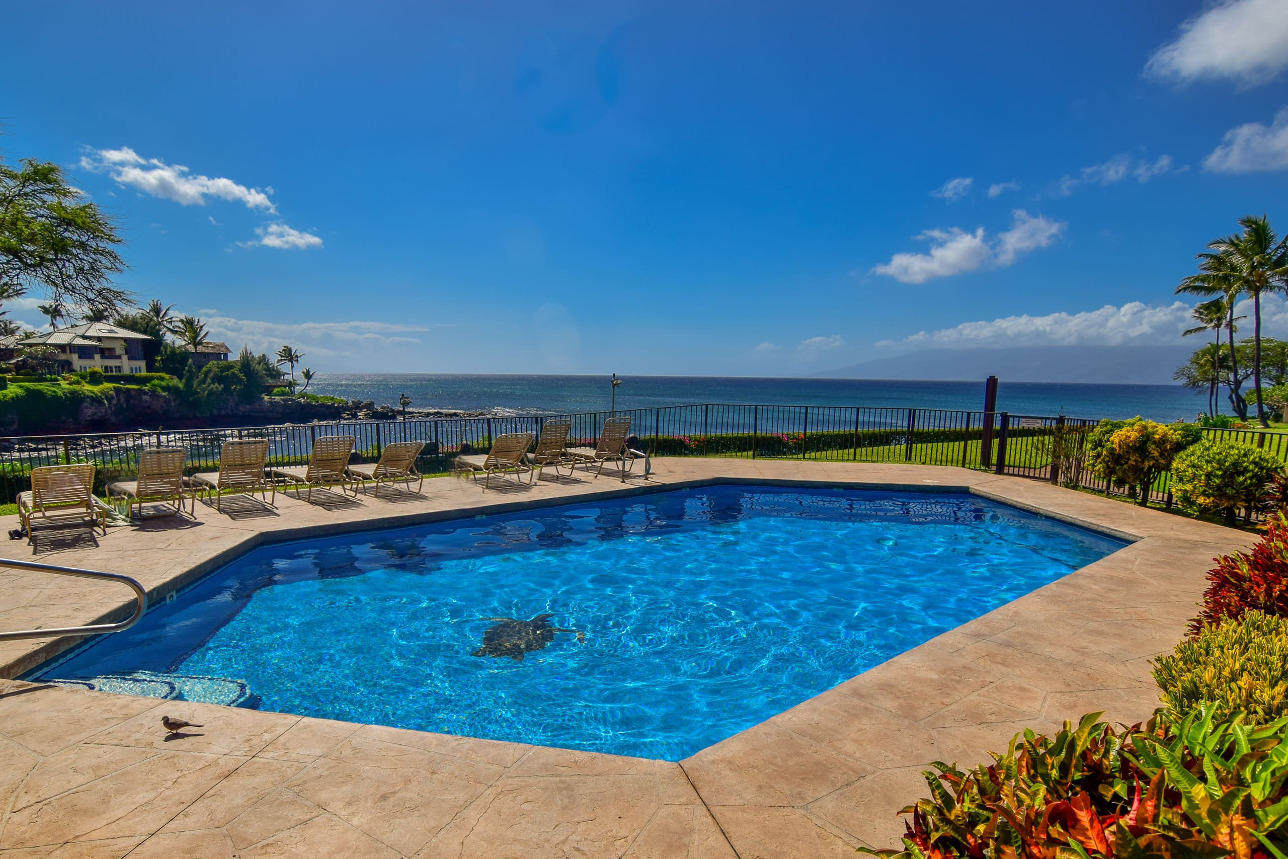 Condo in Lahaina · ★4.64 · 2 bedrooms · 4 beds · 2 baths - Image 22