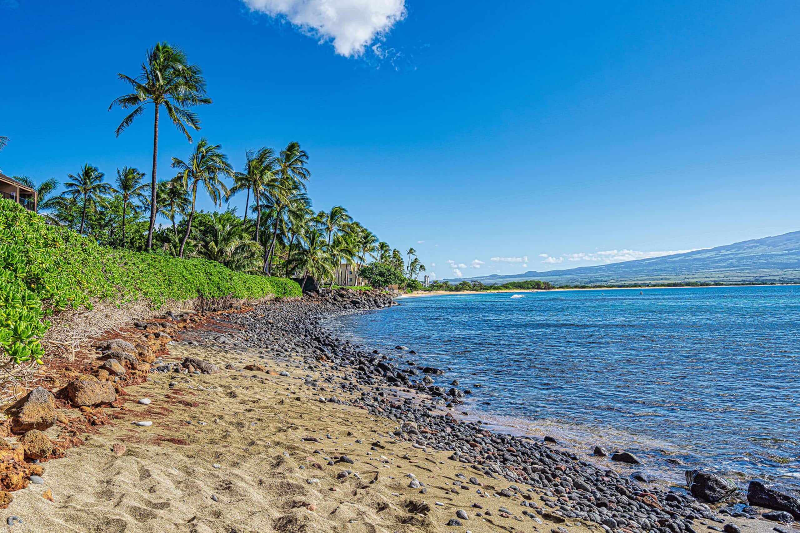 Condo in Wailuku · ★4.7 · 2 bedrooms · 4 beds · 2 private baths - Image 32