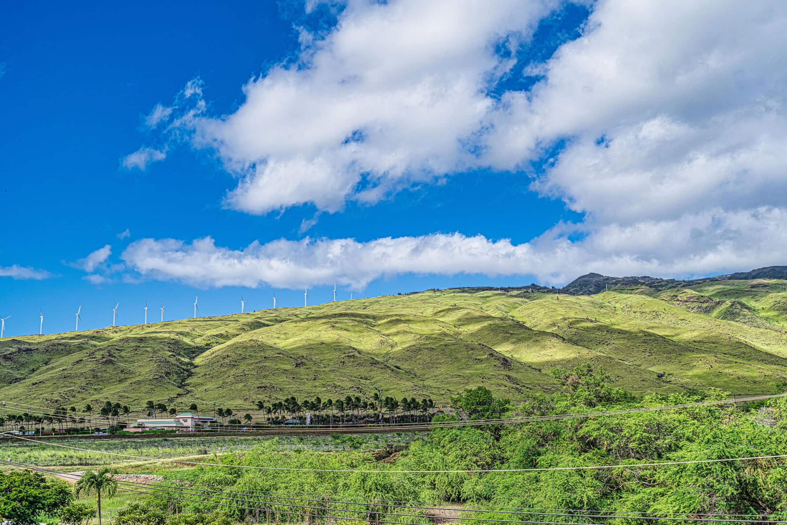 Condo in Wailuku · ★4.7 · 2 bedrooms · 4 beds · 2 private baths - Image 33