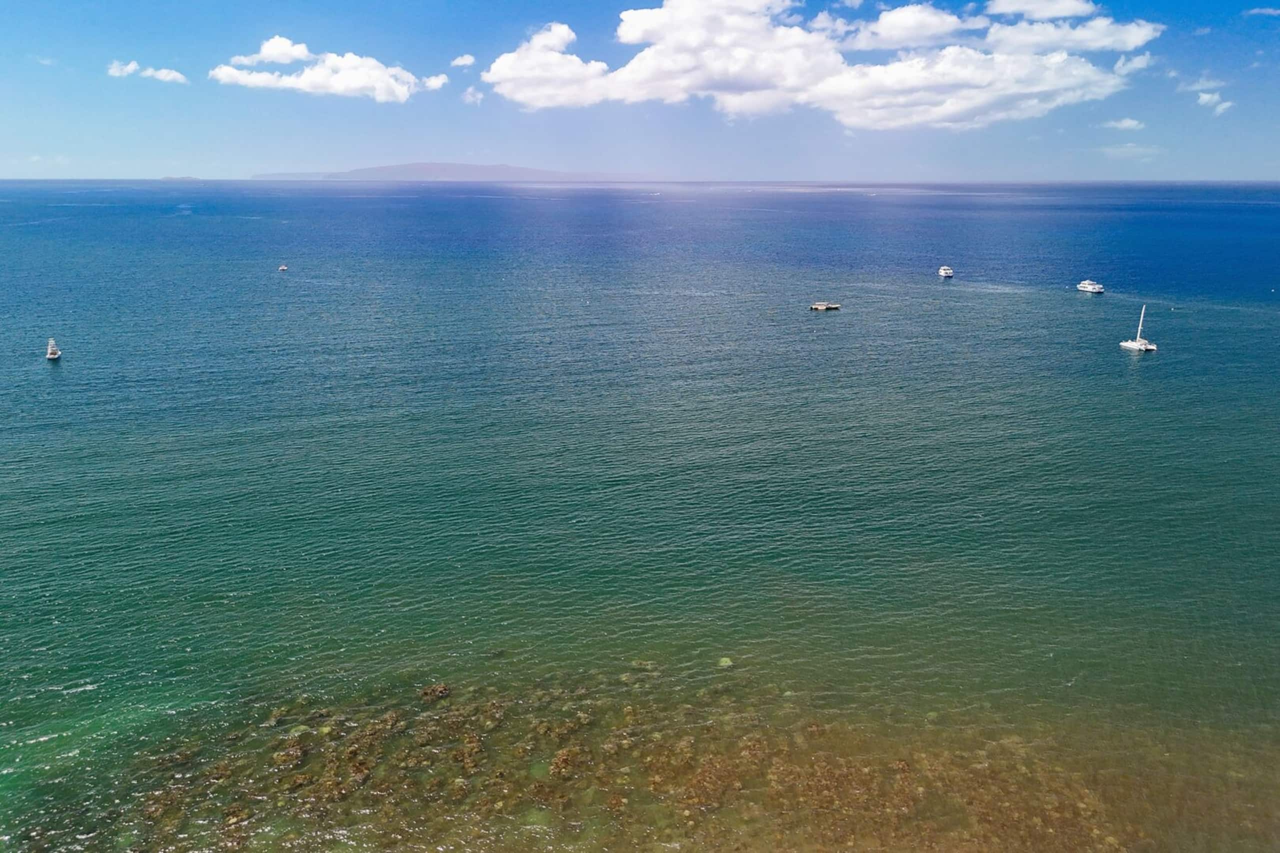 Condo in Kihei · ★4.71 · 1 bedroom · 2 beds · 1 bath - Image 37
