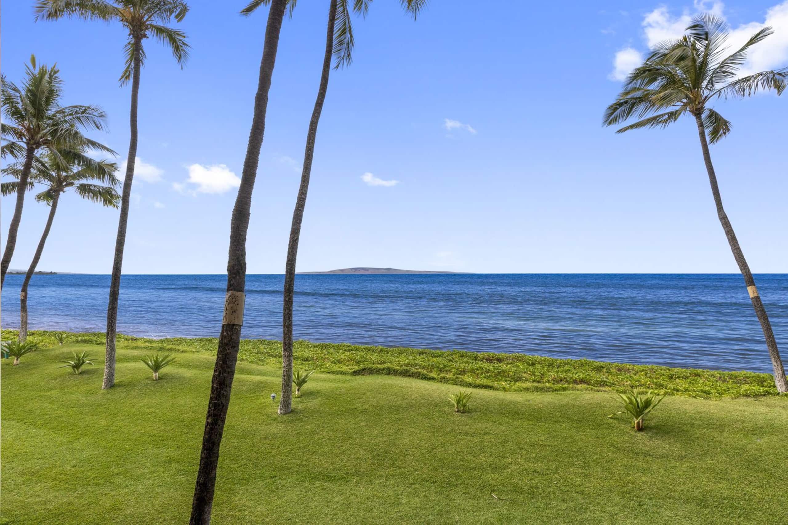 Condo in Kihei · ★4.71 · 1 bedroom · 2 beds · 1 bath - Image 16