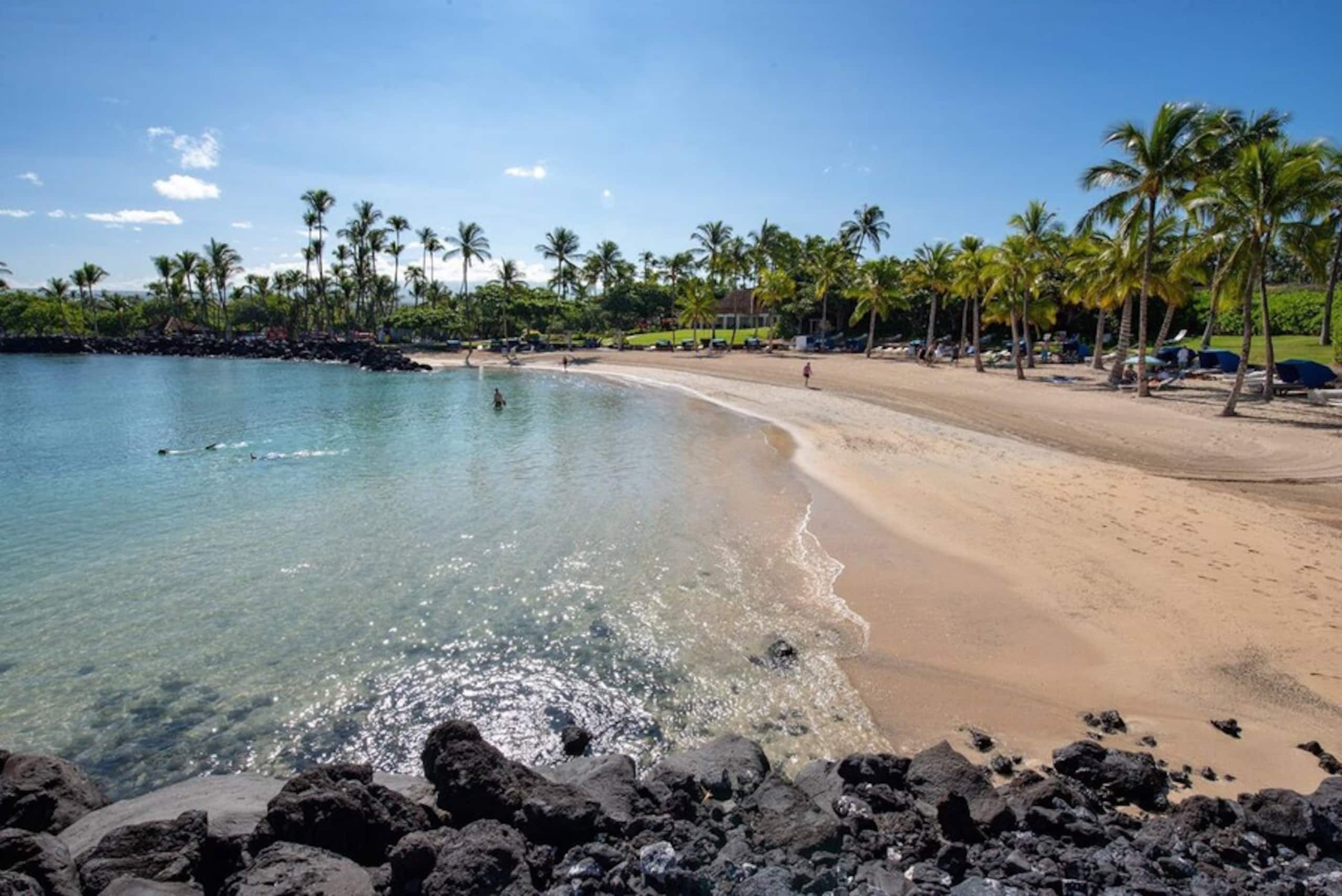 Home in Waimea · ★4.8 · 4 bedrooms · 5 beds · 4.5 baths - Image 3