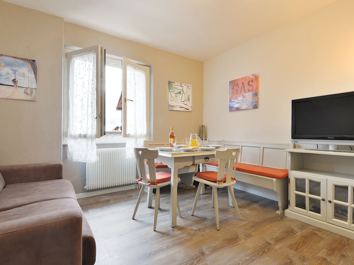 Top performing Airbnb: Apt 20 by Interhome in Canazei