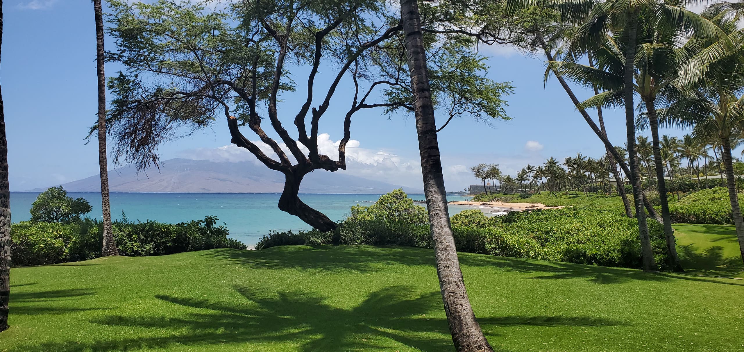 Condo in Wailea · ★5.0 · 2 bedrooms · 2 beds · 2 baths - Image 6