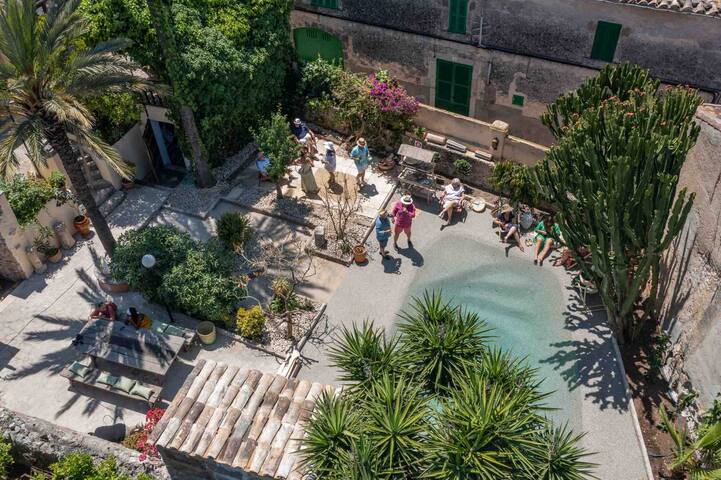 León de Sineu gallery image 2