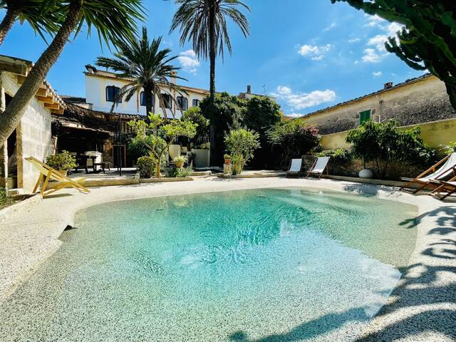 León de Sineu gallery image 4