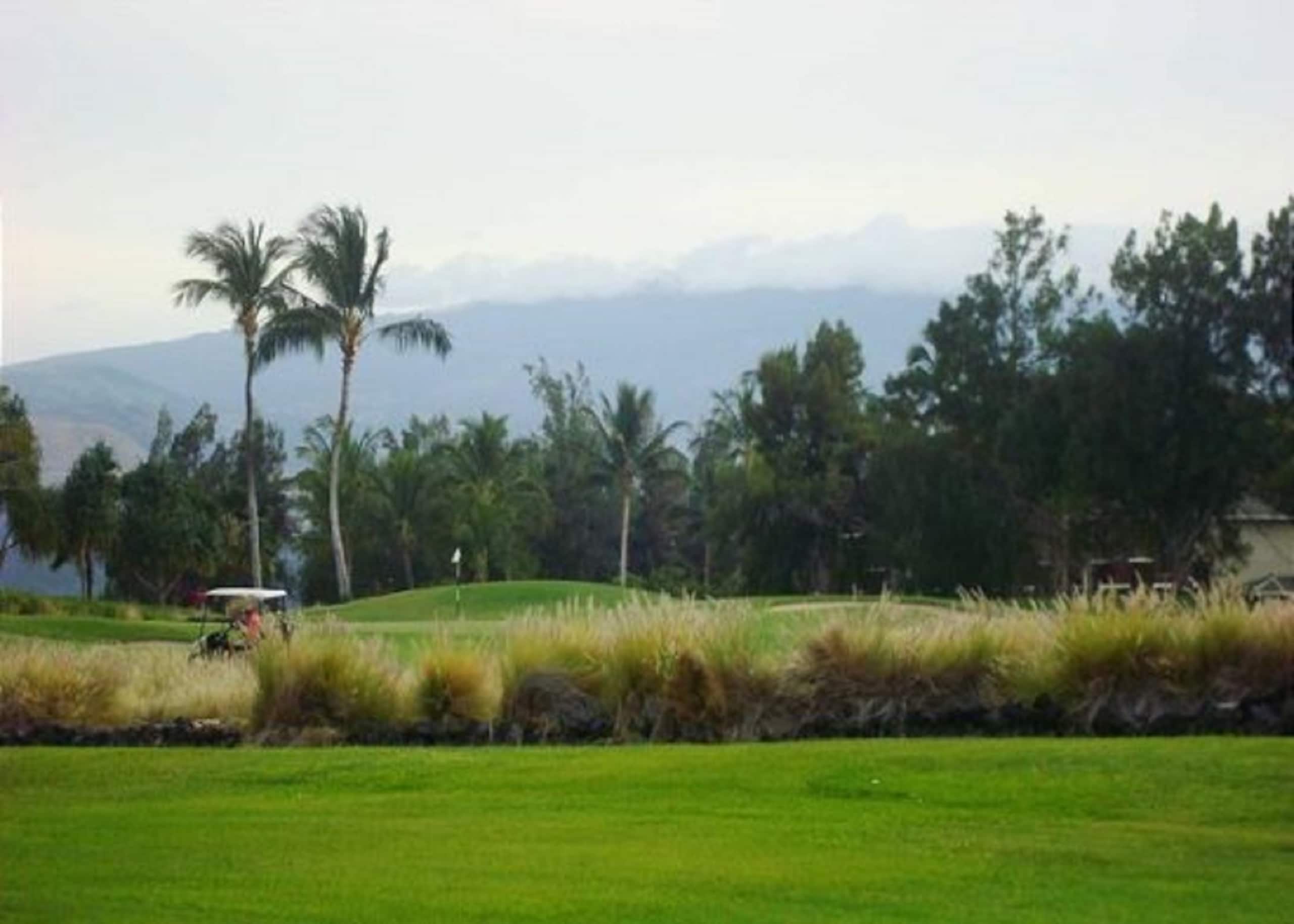 Hilton Pool Pass for 2026. 304 Waikoloa Colony - Photo 30