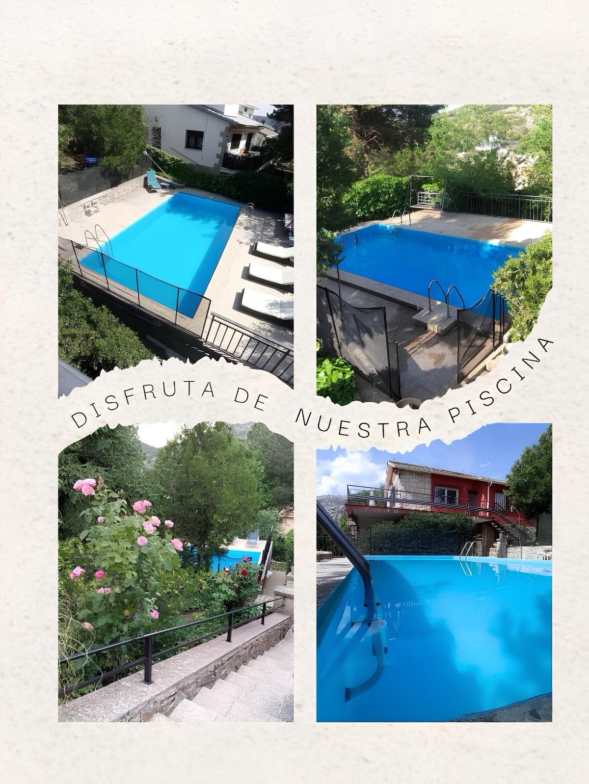 A shared outdoor pool is surrounded by lush greenery and a secure black fence. Bright blue water reflects the sunlight, and a set of steps leads into the pool. Lounge chairs are positioned nearby, providing a relaxing environment for guests.