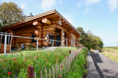 Aurora - Ulex - Log Cabin - Bushmills