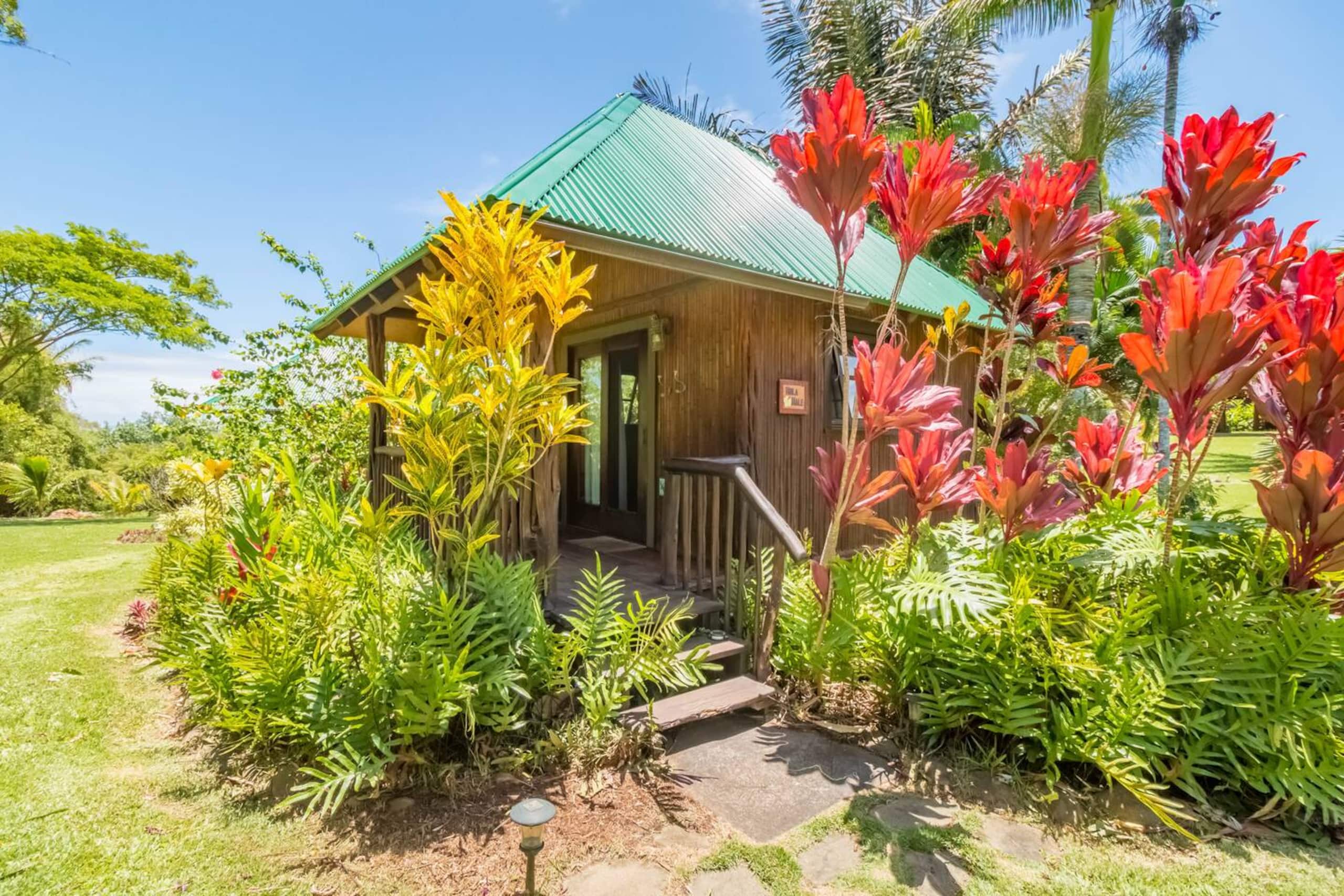 Cabin in Kapaau · ★4.98 · 1 bedroom · 2 beds · 1 shared bath - Image 19