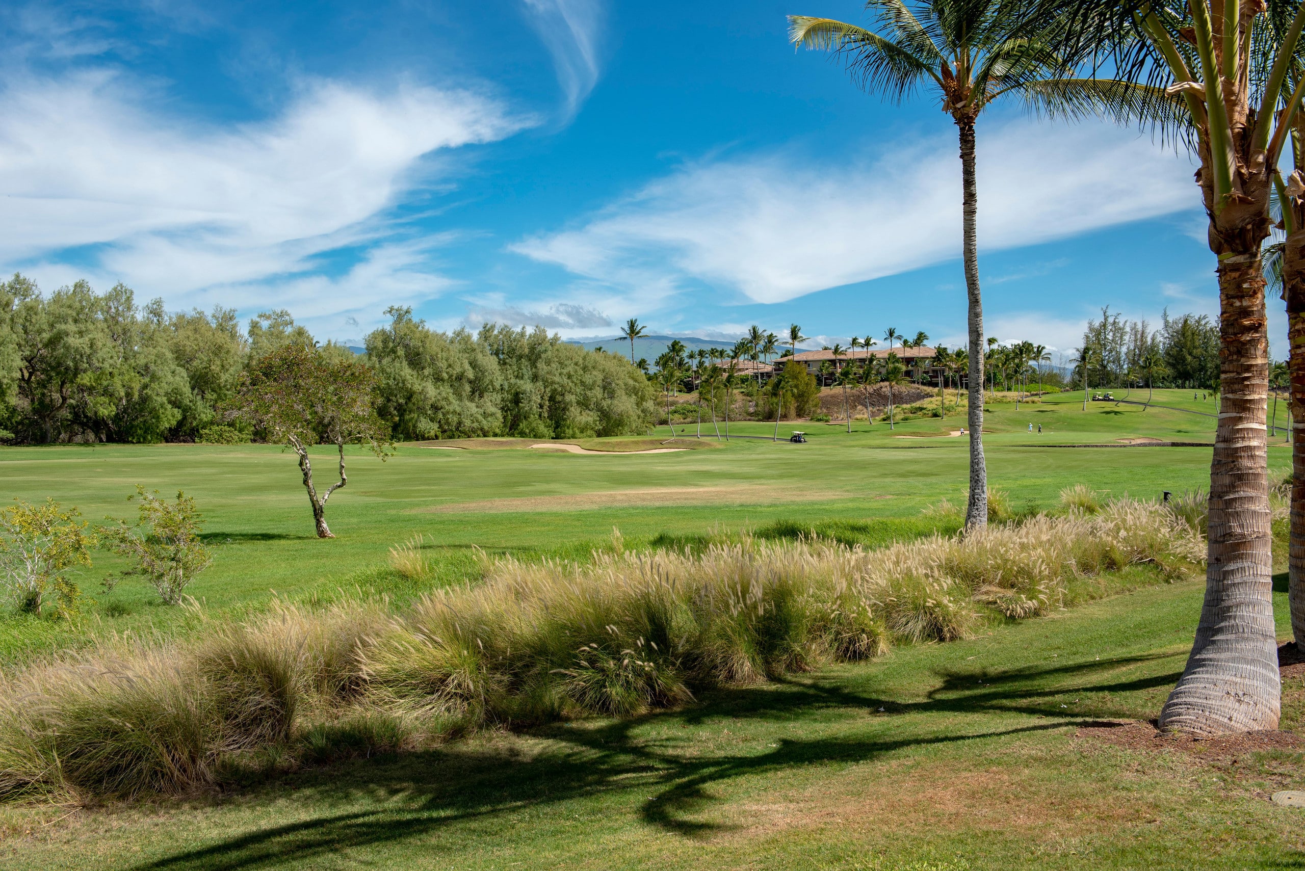 Villa in Waikoloa Village · ★4.75 · 3 bedrooms · 4 beds · 3 baths - Photo 6